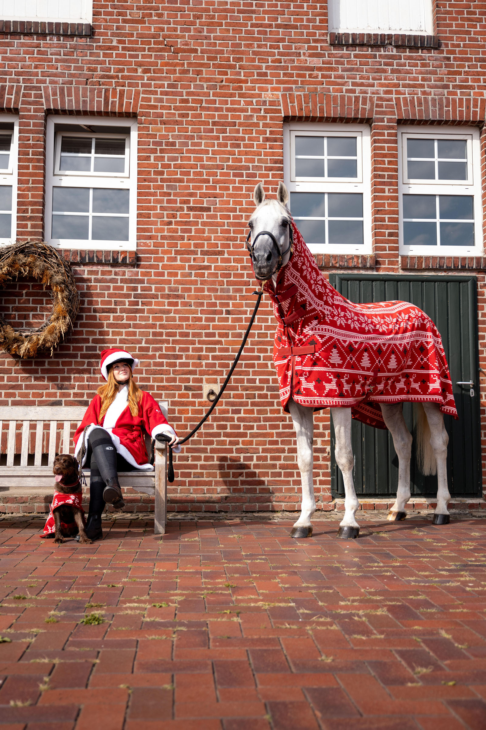 Horze Christmas Horse Sweater