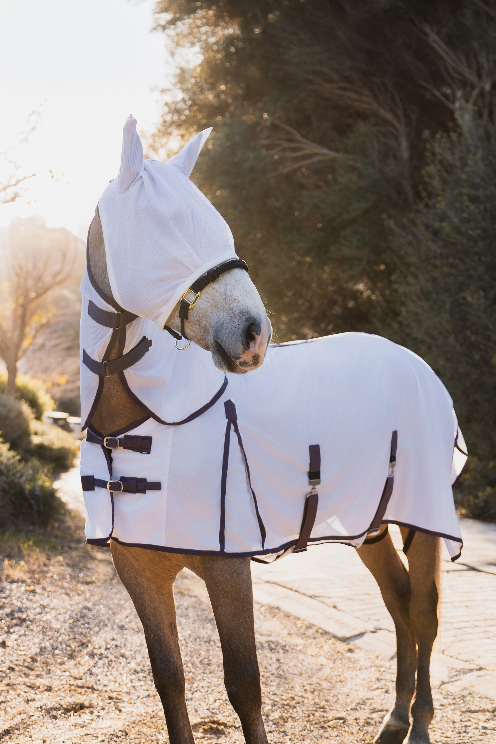 Horze La Paz Fly Set with Rug, Detachable Neck and Mask