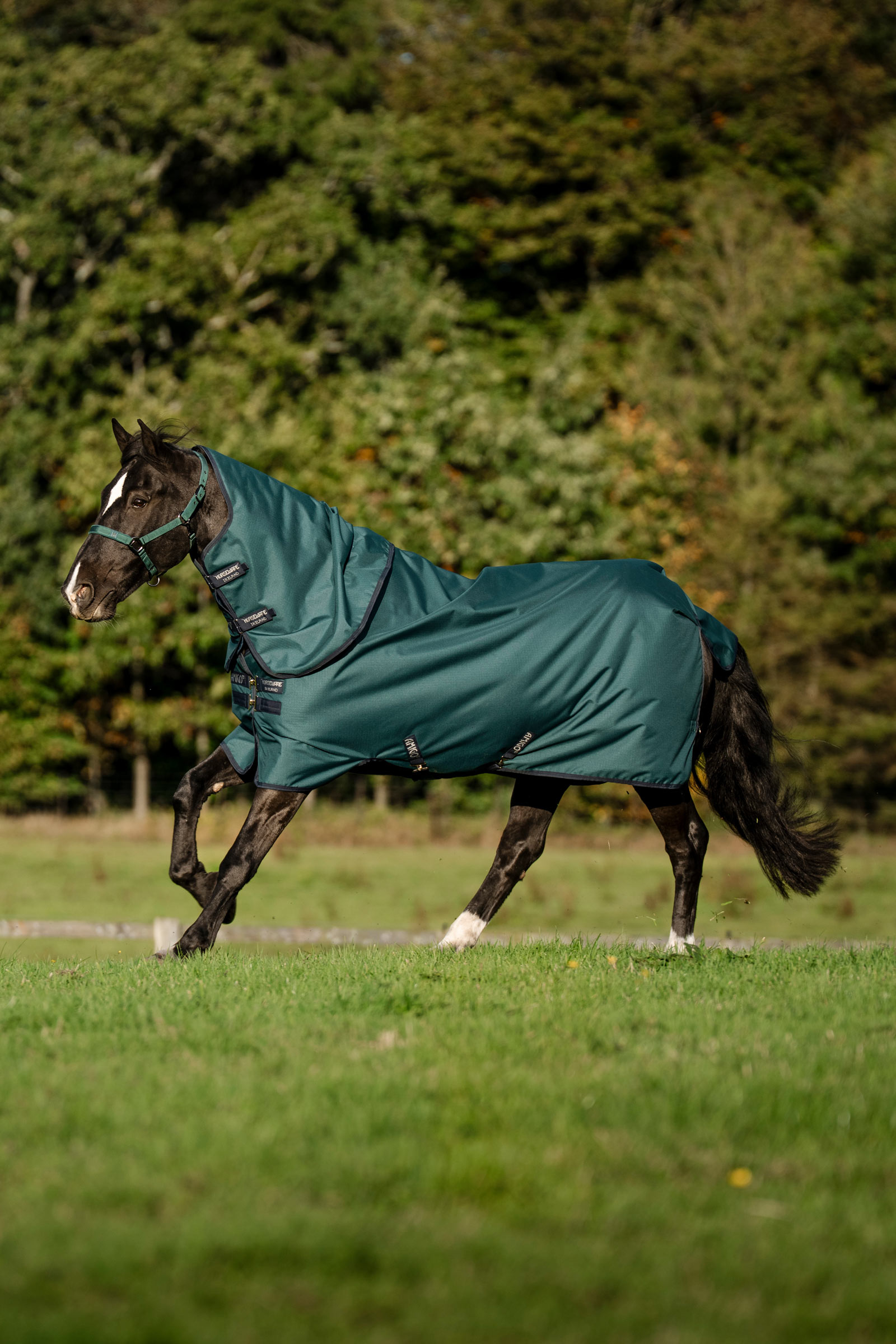Horseware Amigo Ripstop 900D Plus Pony Turnout Rug, 50 g