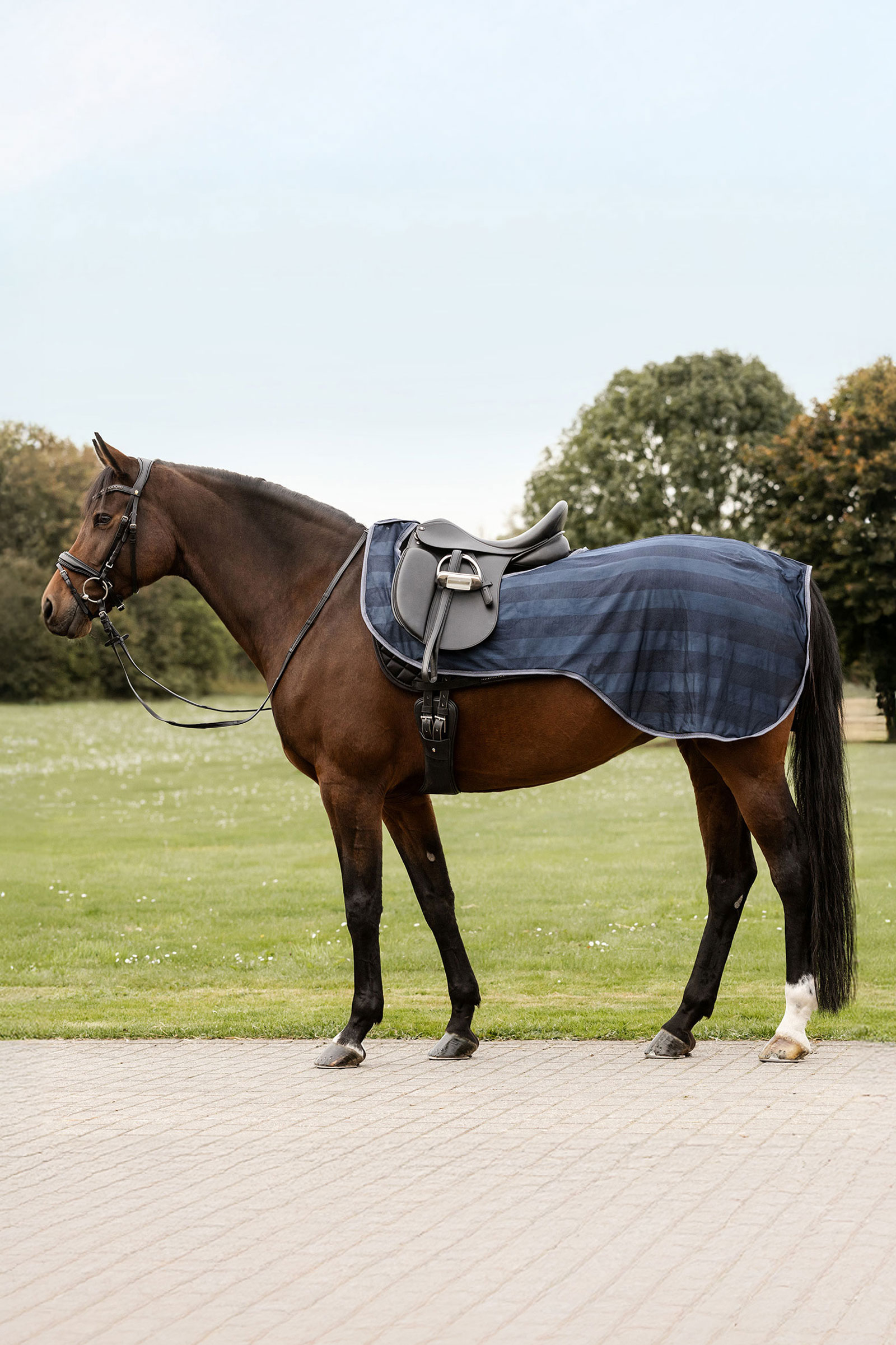 Night Blue Waldhausen Economic Fly Exercise Sheet