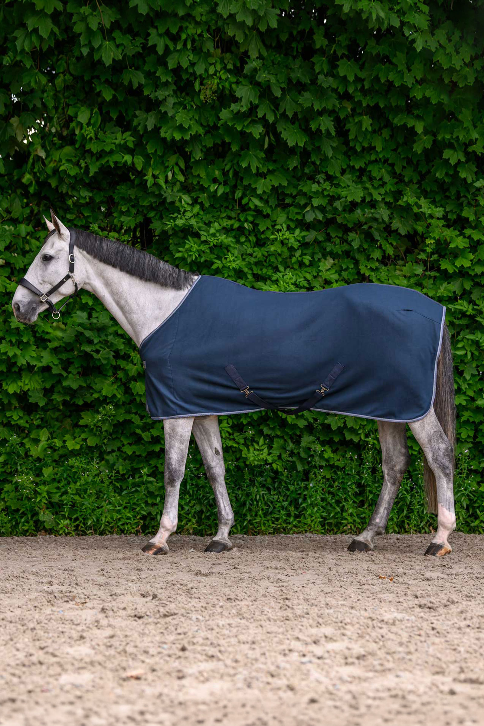 Night Blue Waldhausen ECONOMIC Fleece Rug with Cross Surcingles