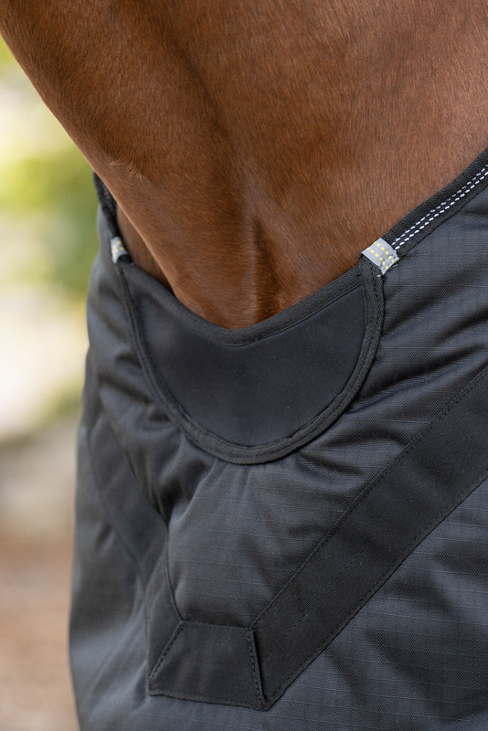 Kavalkade Halifax 2in1 Turnout and Walker Rug 200g