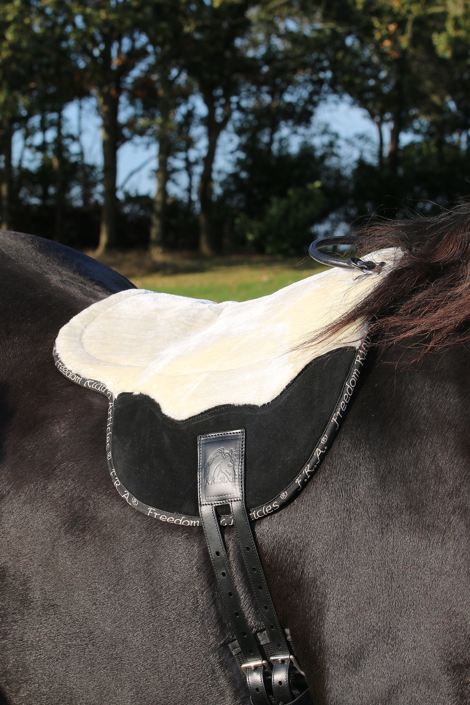 F.R.A. Freedom Riding Articles Free Bareback Pad, Cob