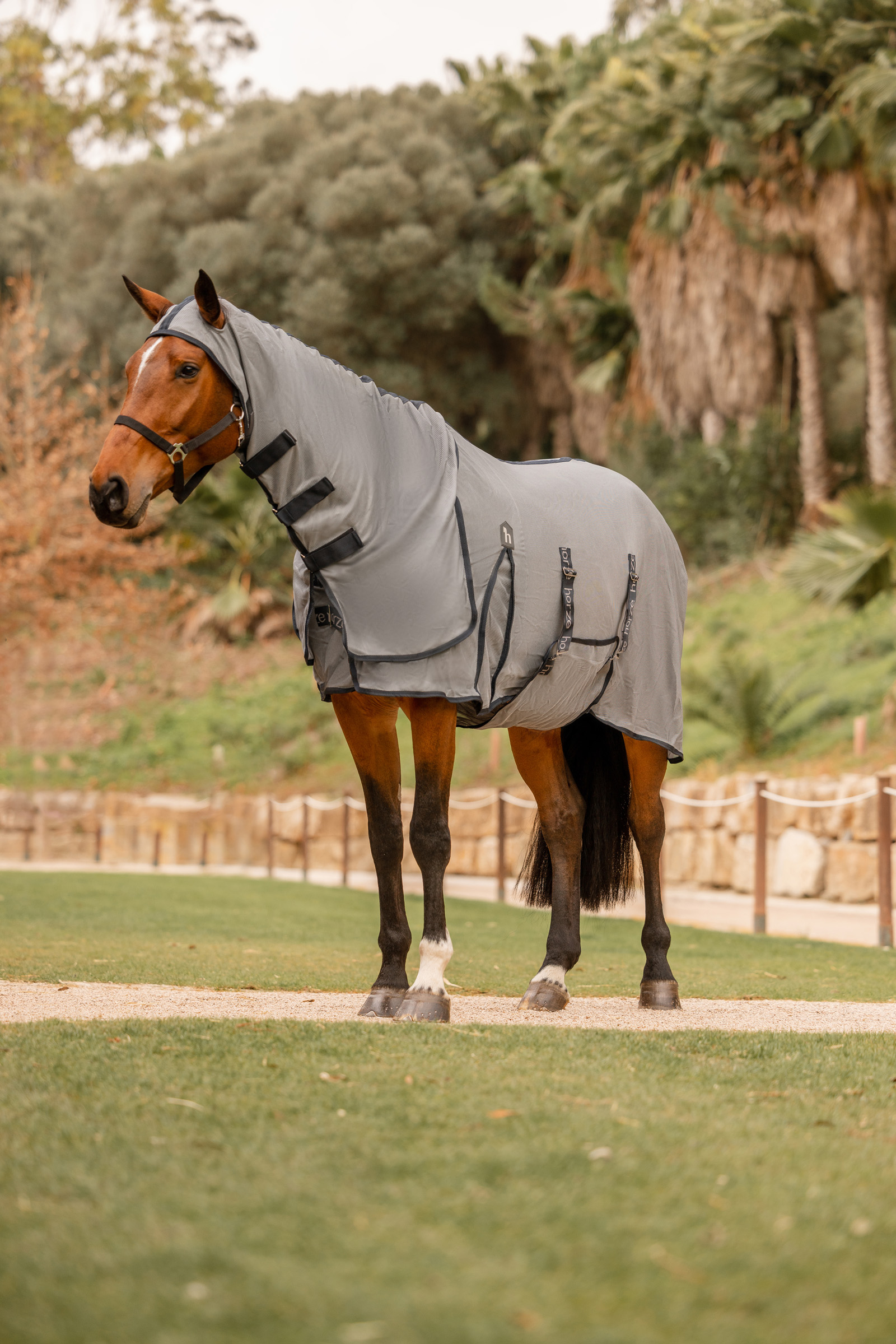 Horze Paso Fino Fly Rug with Hood and UV Protection