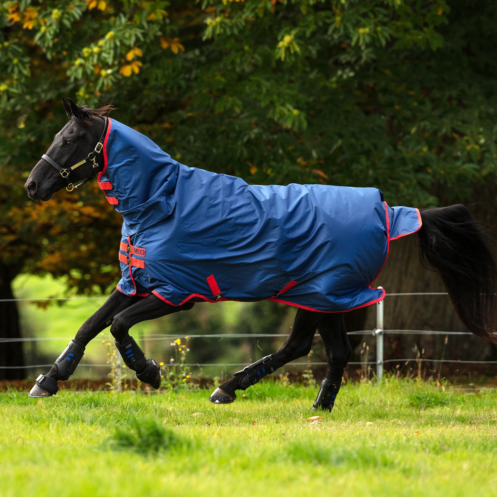 Horseware Mio All-In-One-Self Turnout with Integrated Hood, 0 g.