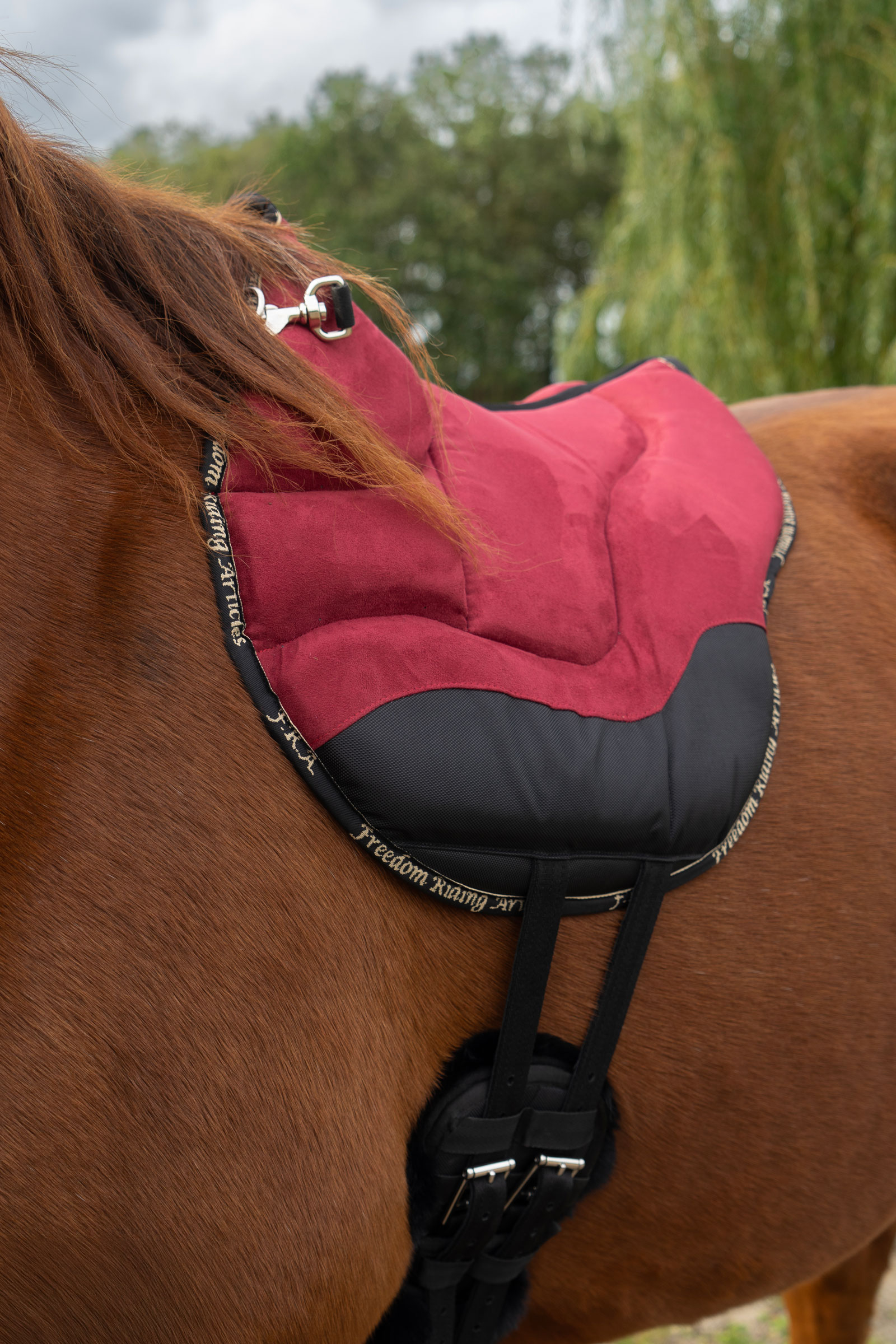 F.R.A. Freedom Riding Articles Dardo basic Riding Pad