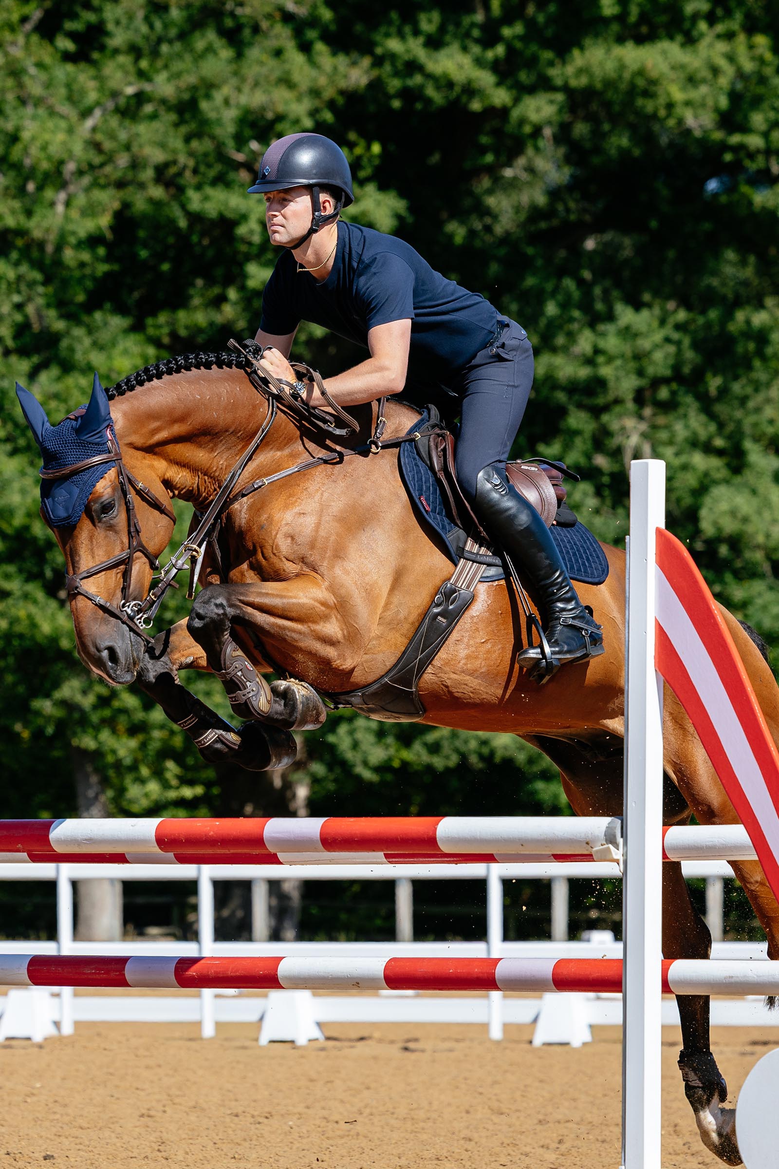 Lemieux Suede Close Contact Square Saddle Pad