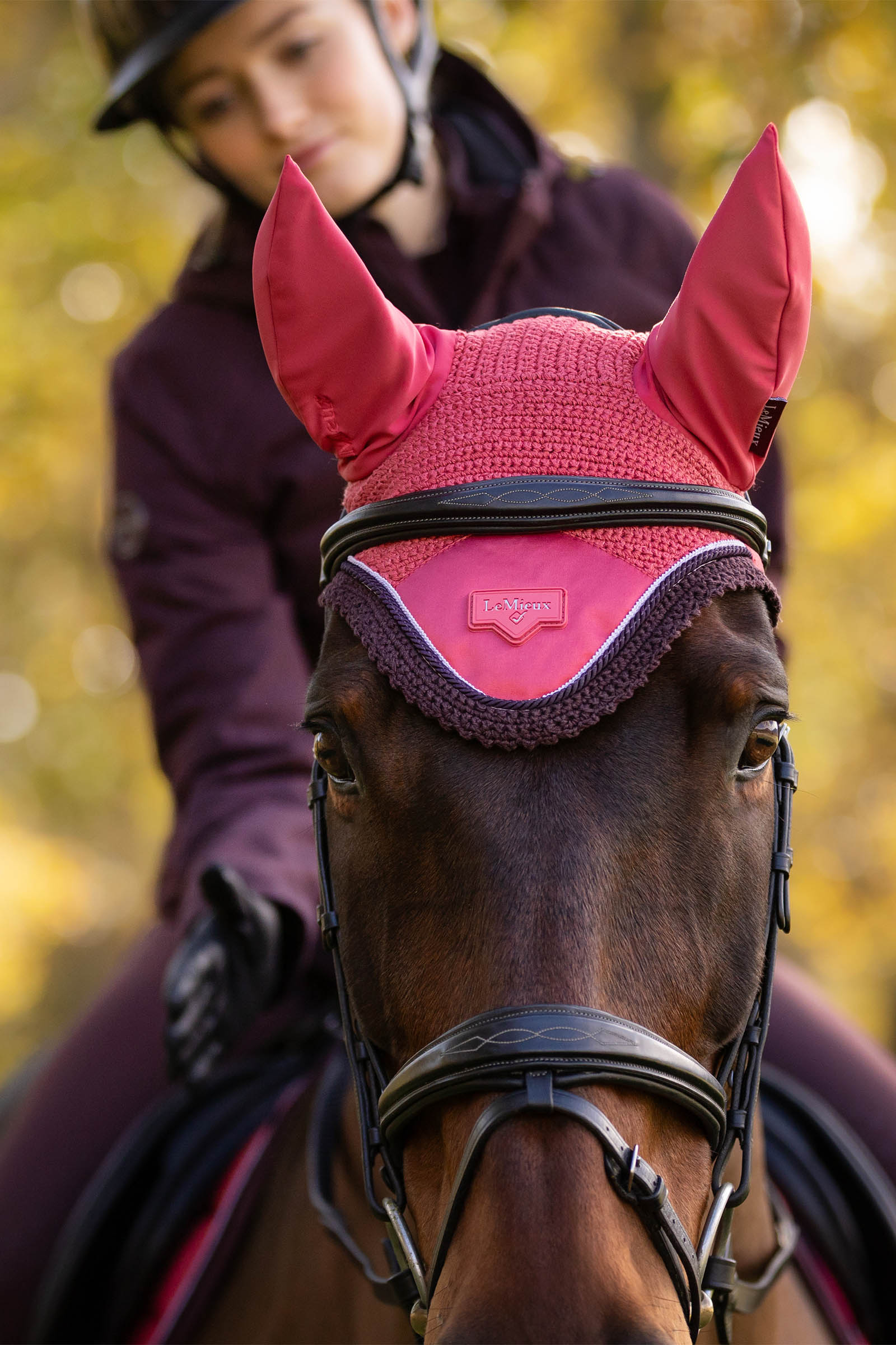 LeMieux Loire Fly Hood