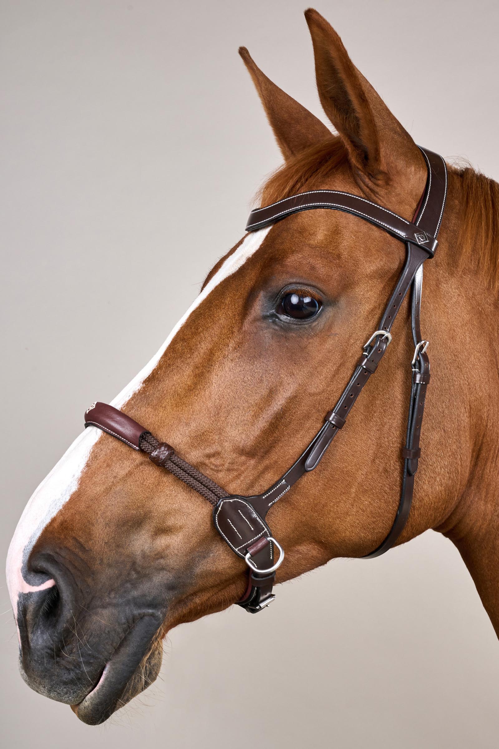 Dy'on Working Bitless Bridle