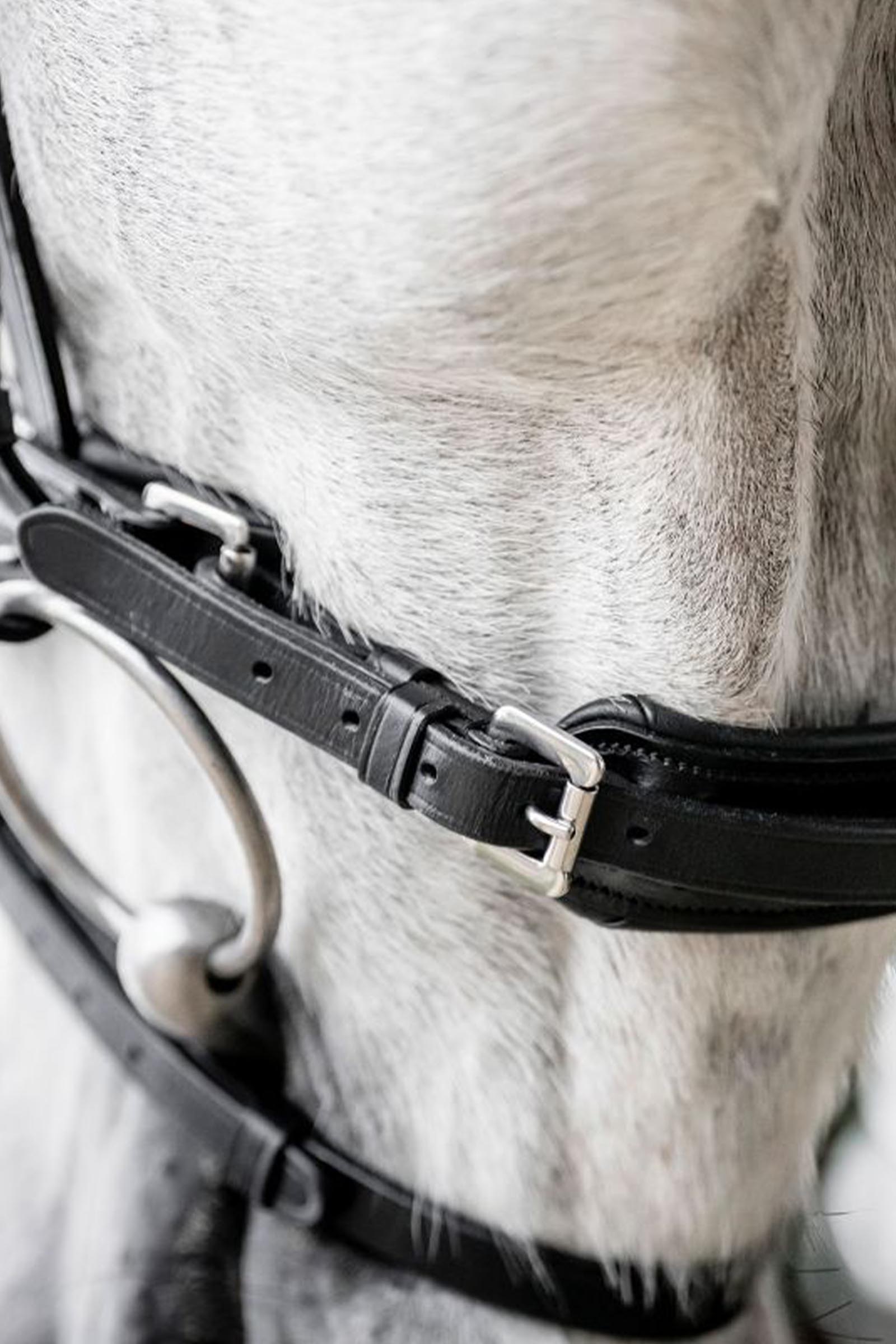 Horseware Diamante Flash Bridle