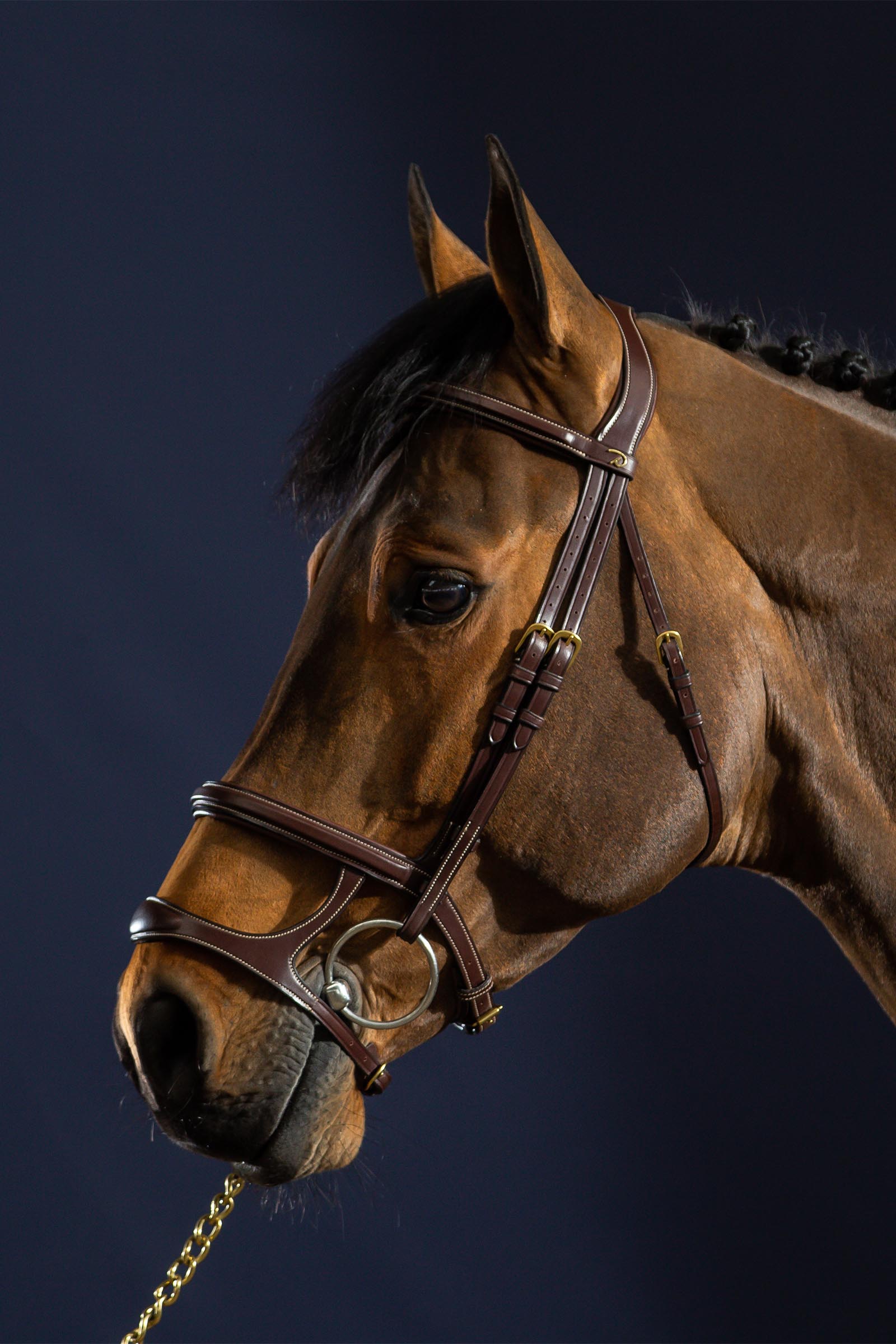 Dy'on D Collection Double Noseband Bridle 