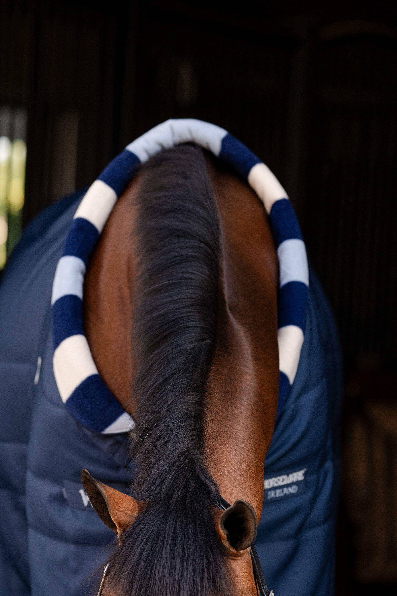 Horseware Newmarket Cosy Stable 100g