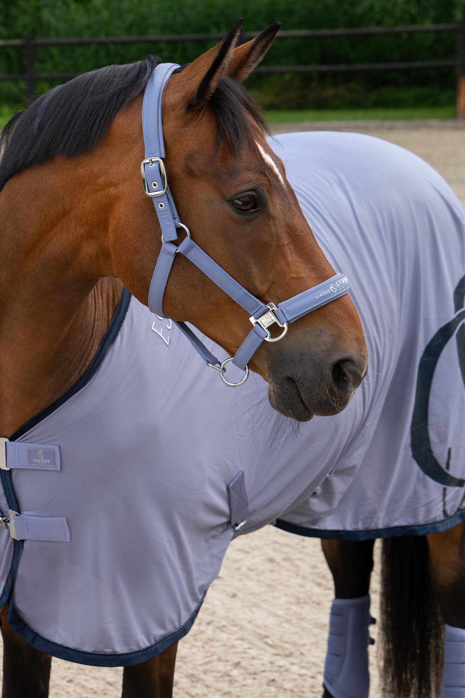 Eskadron Classic Sport SS26 Cooler Fly Rug