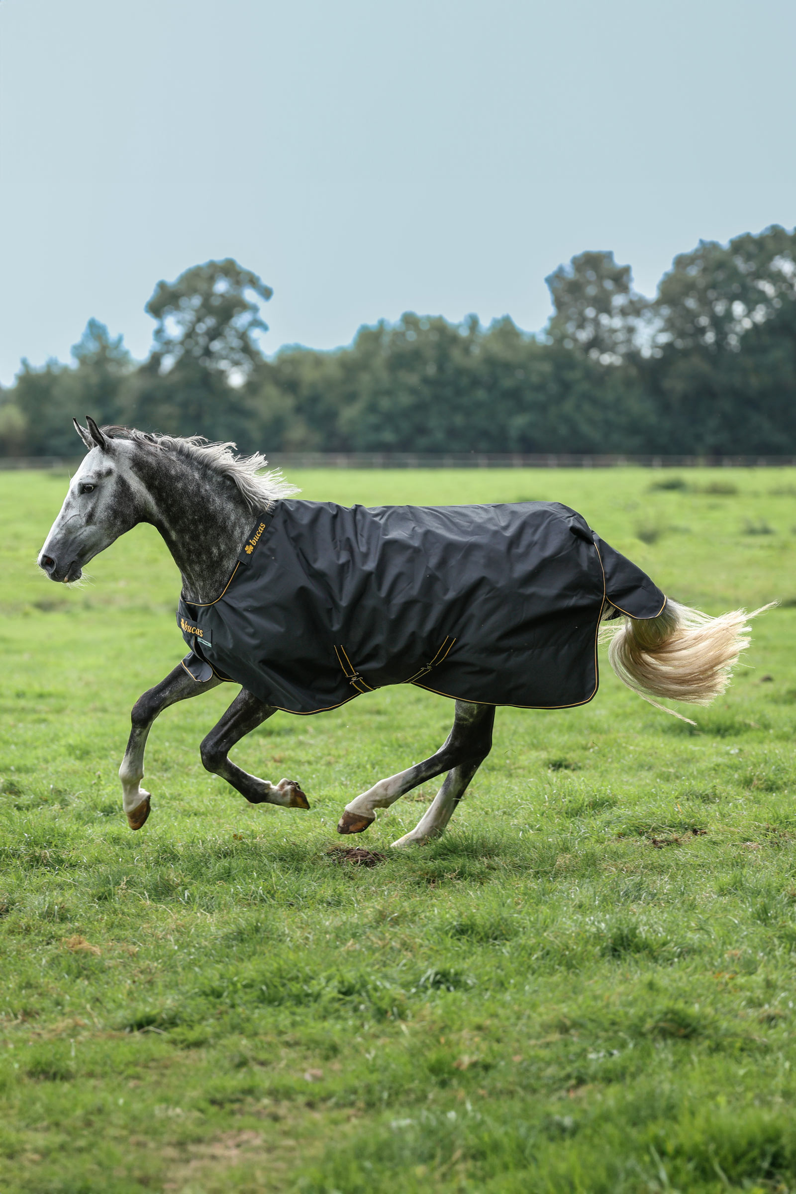 Bucas Irish Turnout Rug, 150g