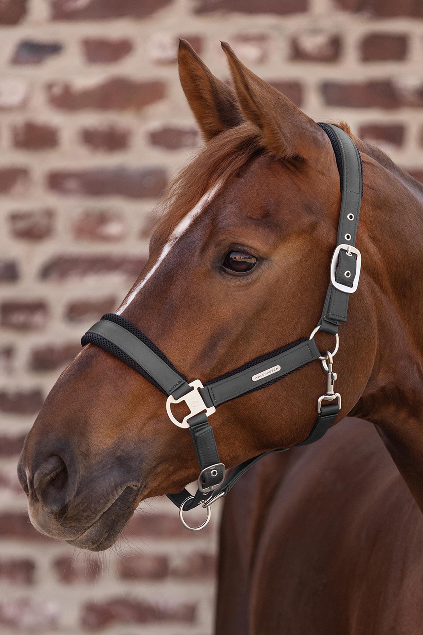 Waldhausen Breath Mesh Halter