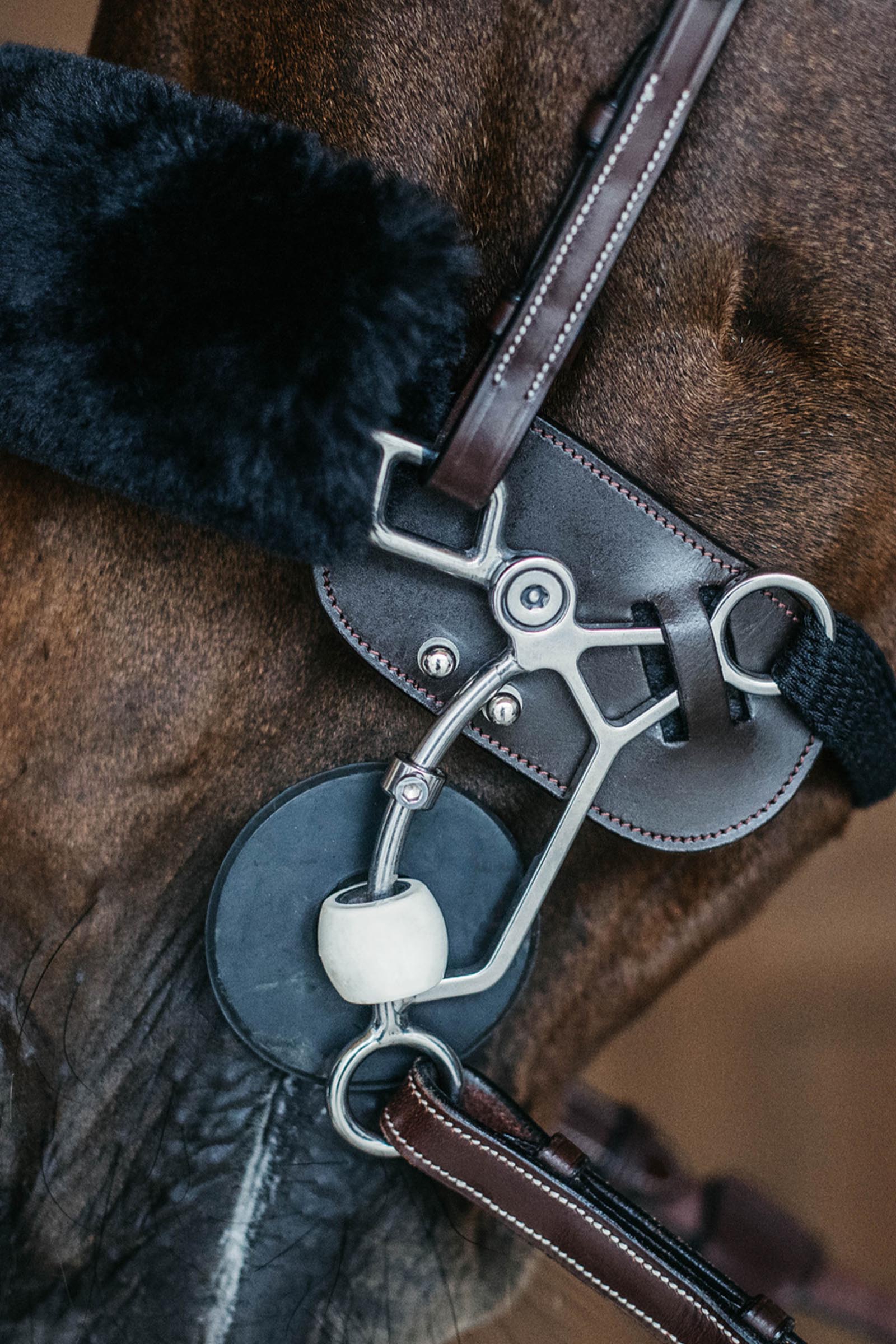 Dy'on Hackamore Protection