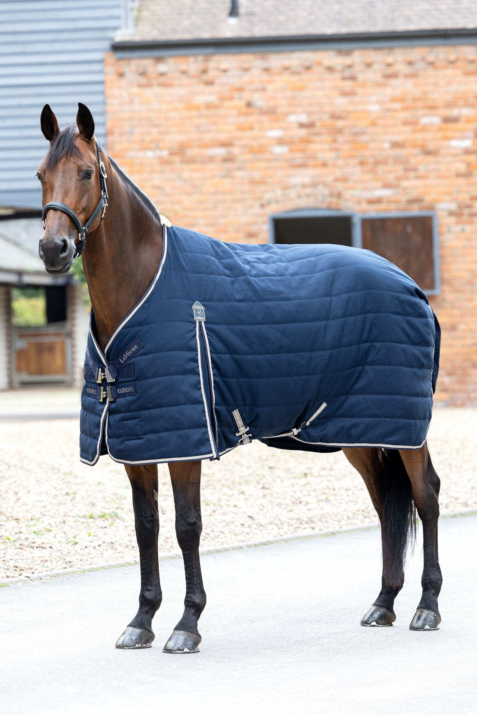 LeMieux Kudos Stable Rug 50g