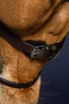 Dy'on Working Flat Leather Bridle With Snap Hooks 