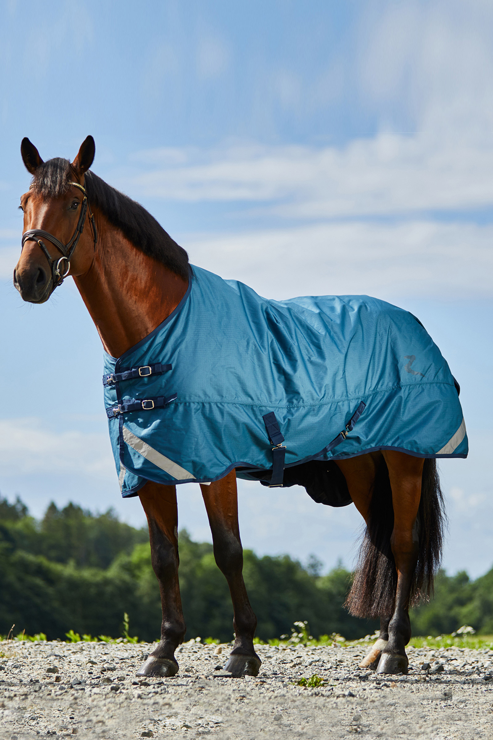 Horze Turin Medium Weight Turnout Rug, 150g