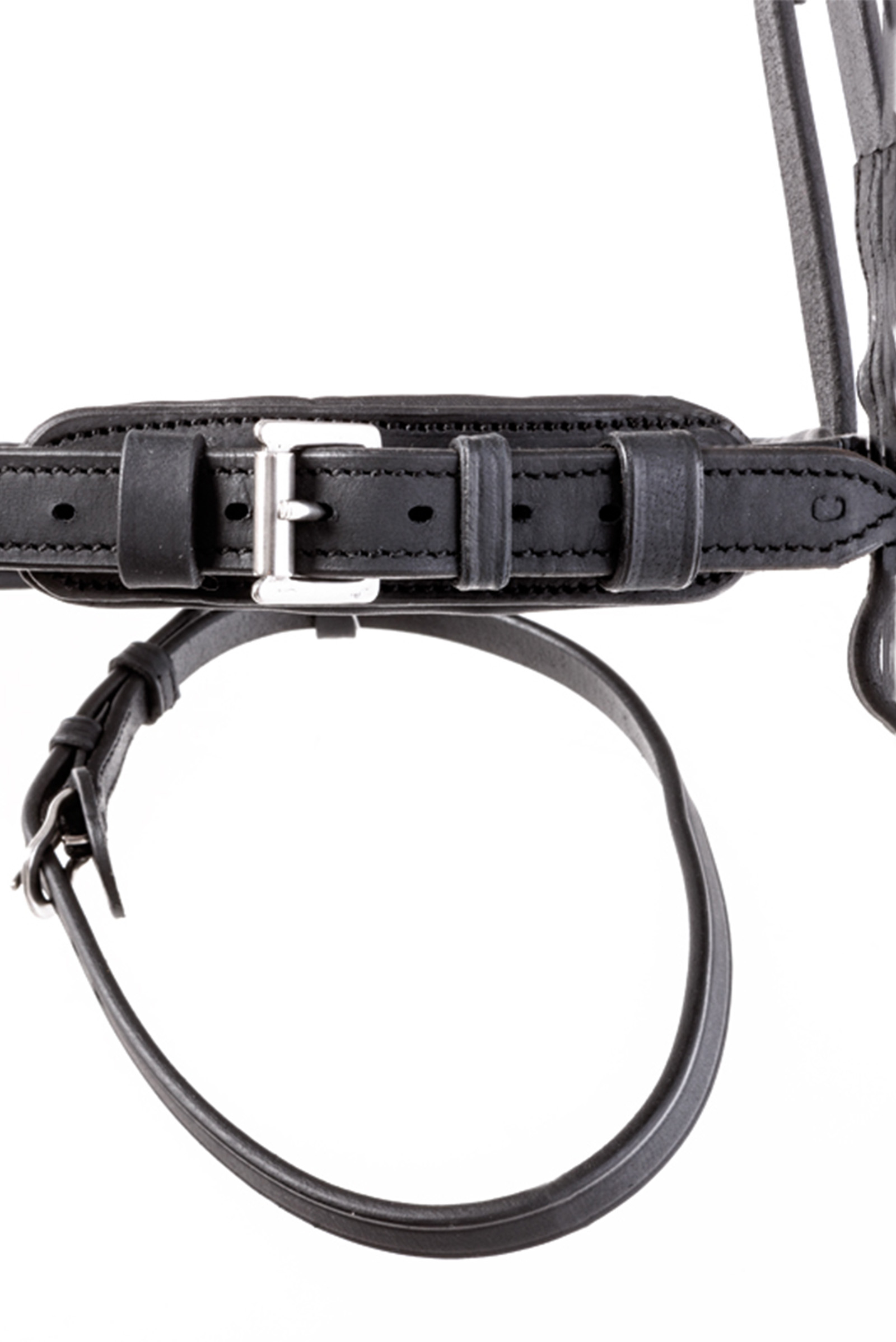 Kavalkade Everness Bridle