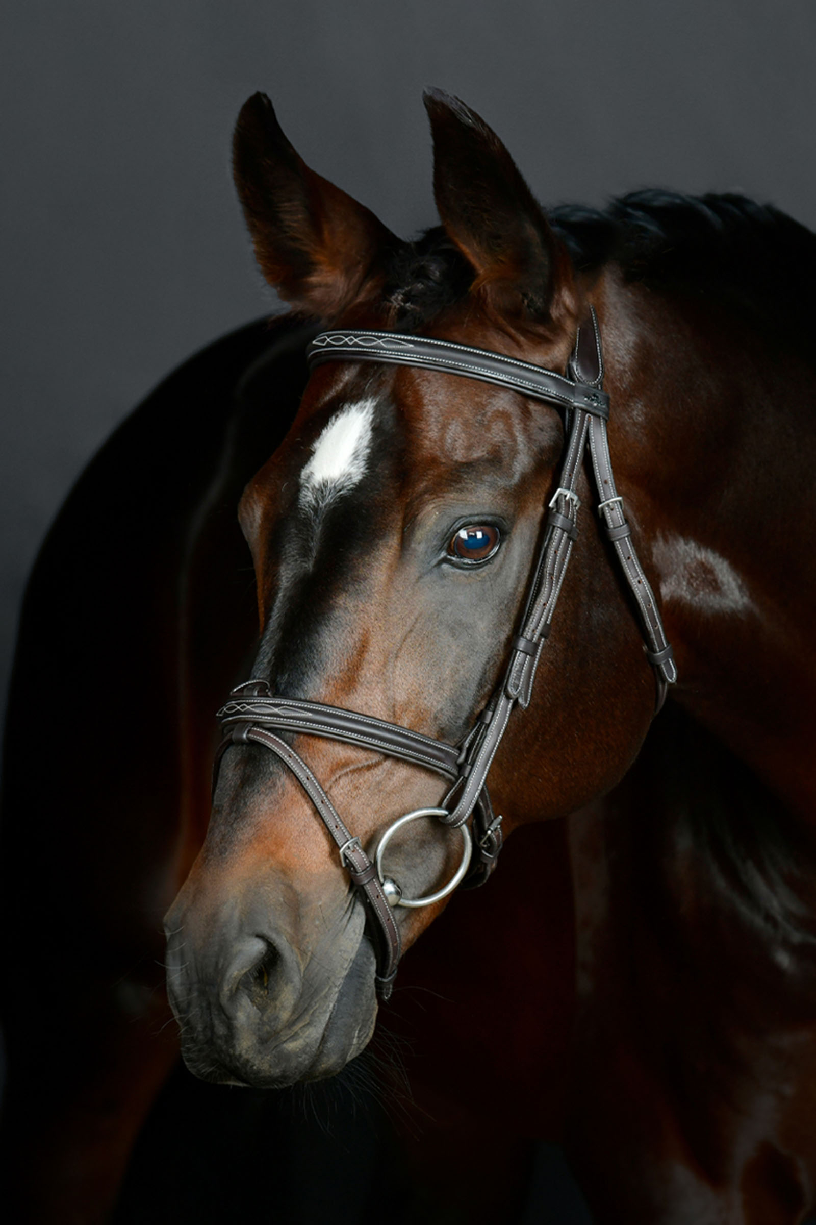 Collegiate Comfitec Opulux Fancy Stitch Padded Hanoverian Bridle