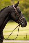 Trust Equestrian Hunter Bridle Kentucky