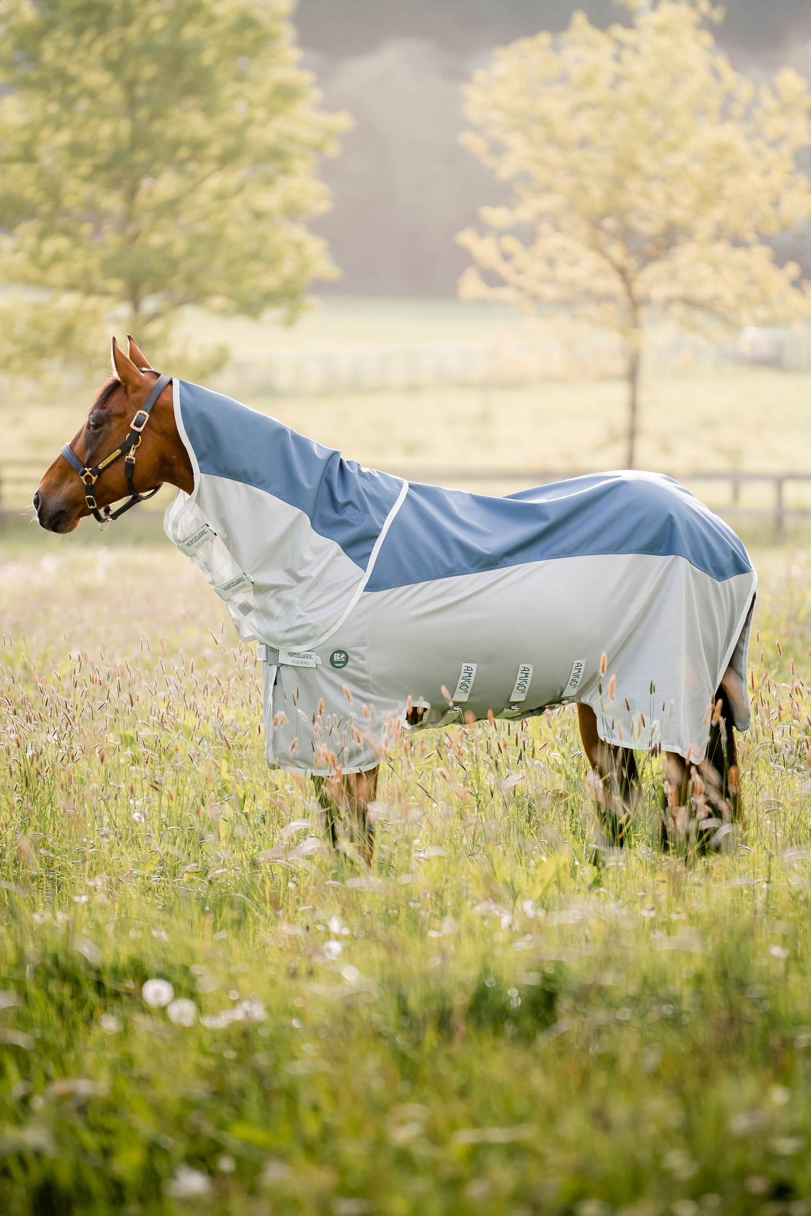 Horseware Amigo AmEco Combi Fly Rug