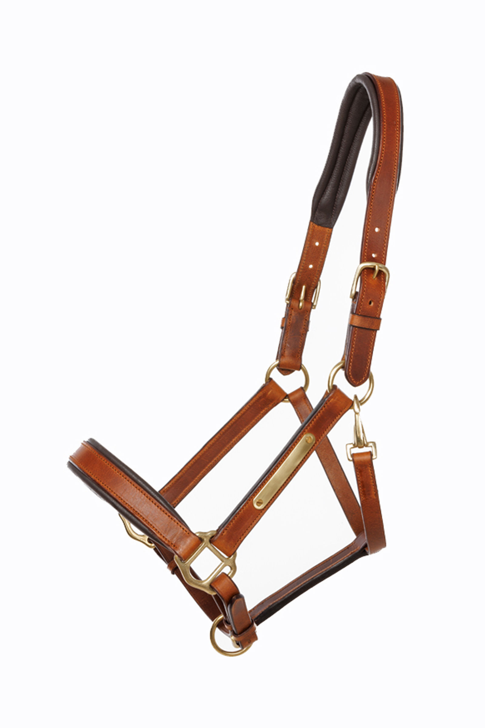 Kavalkade Leather halter Cinta