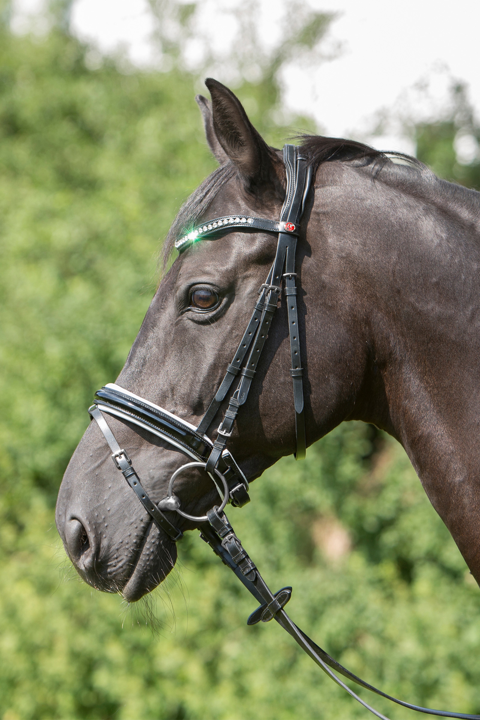 Black/White/Chrome Kieffer Comfort Paris Bridle