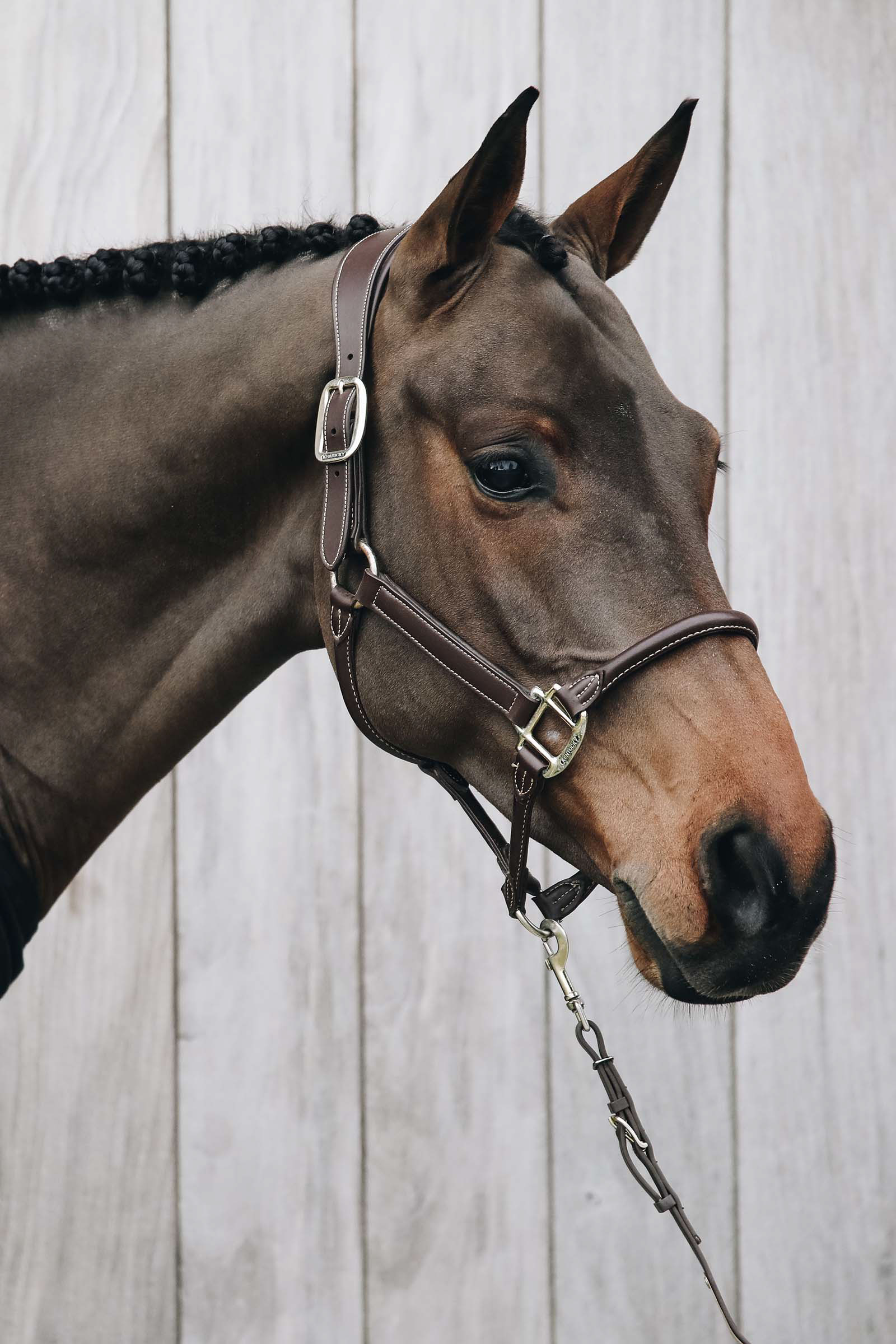 Kentucky Horsewear Anatomic Leather Halter