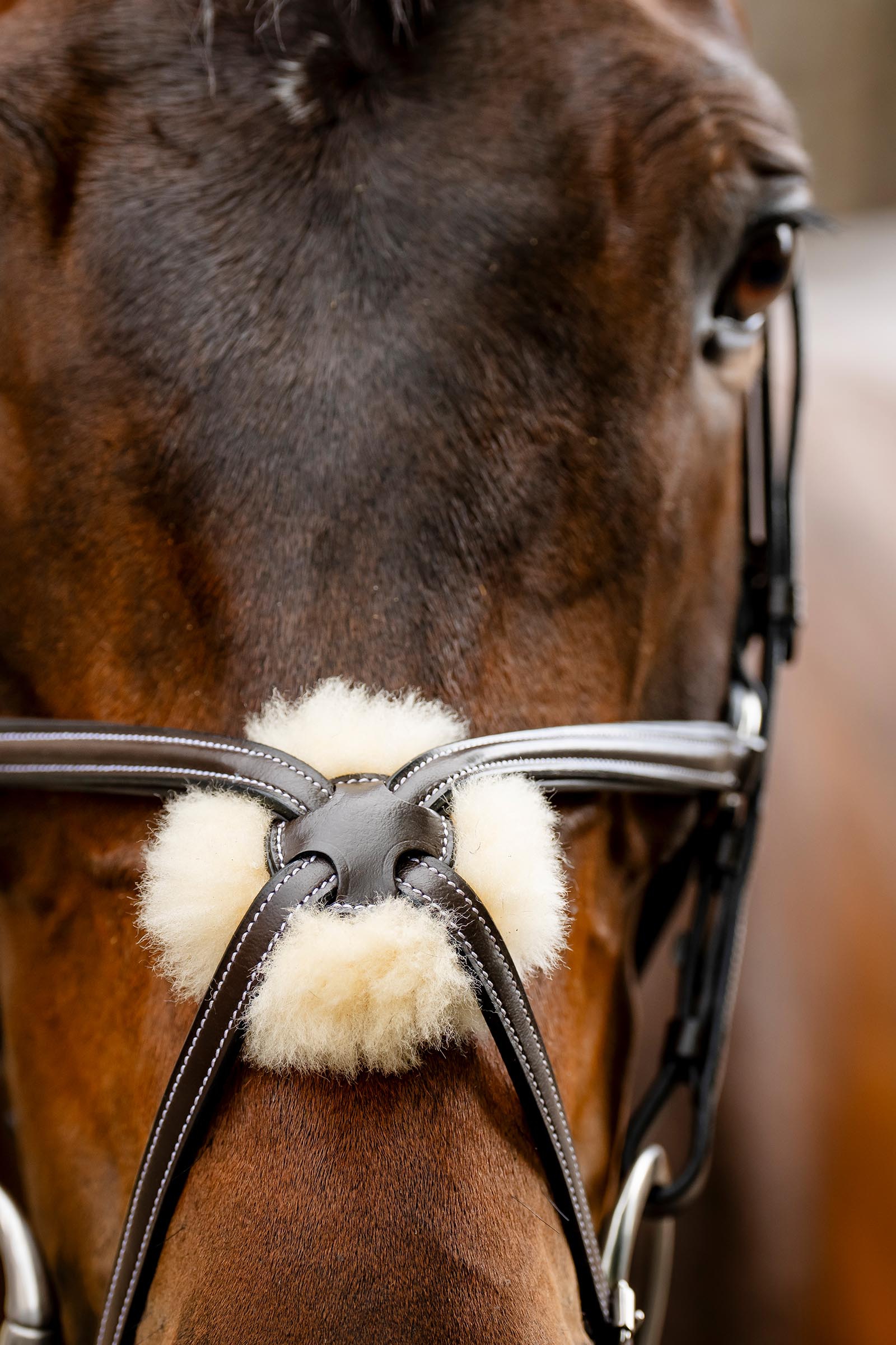 Horseware Figure 8 Grackle Bridle