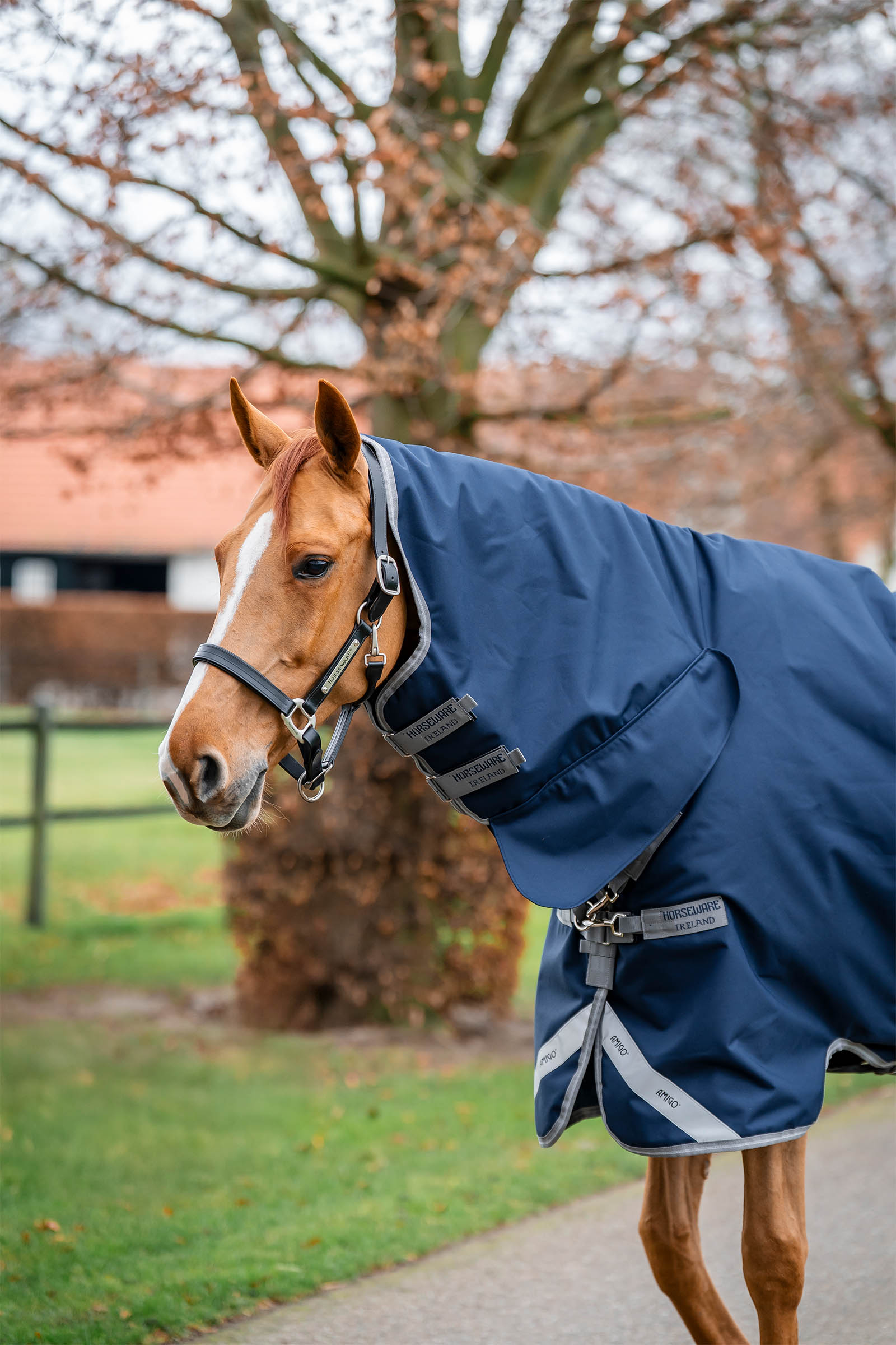 Horseware Amigo 1200D Integrated Turnout 250g