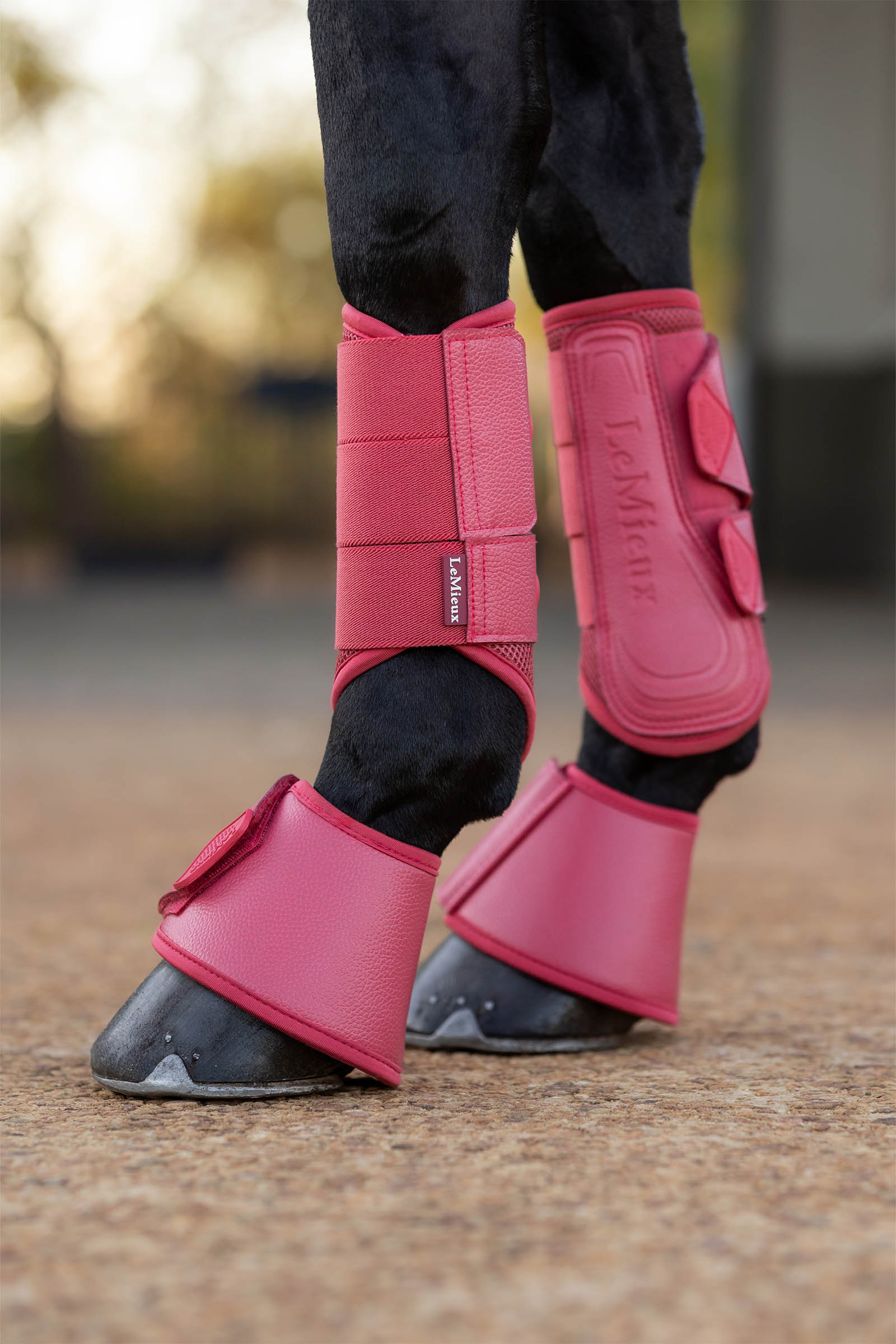 Cranberry LeMieux Arika Over Reach Boots