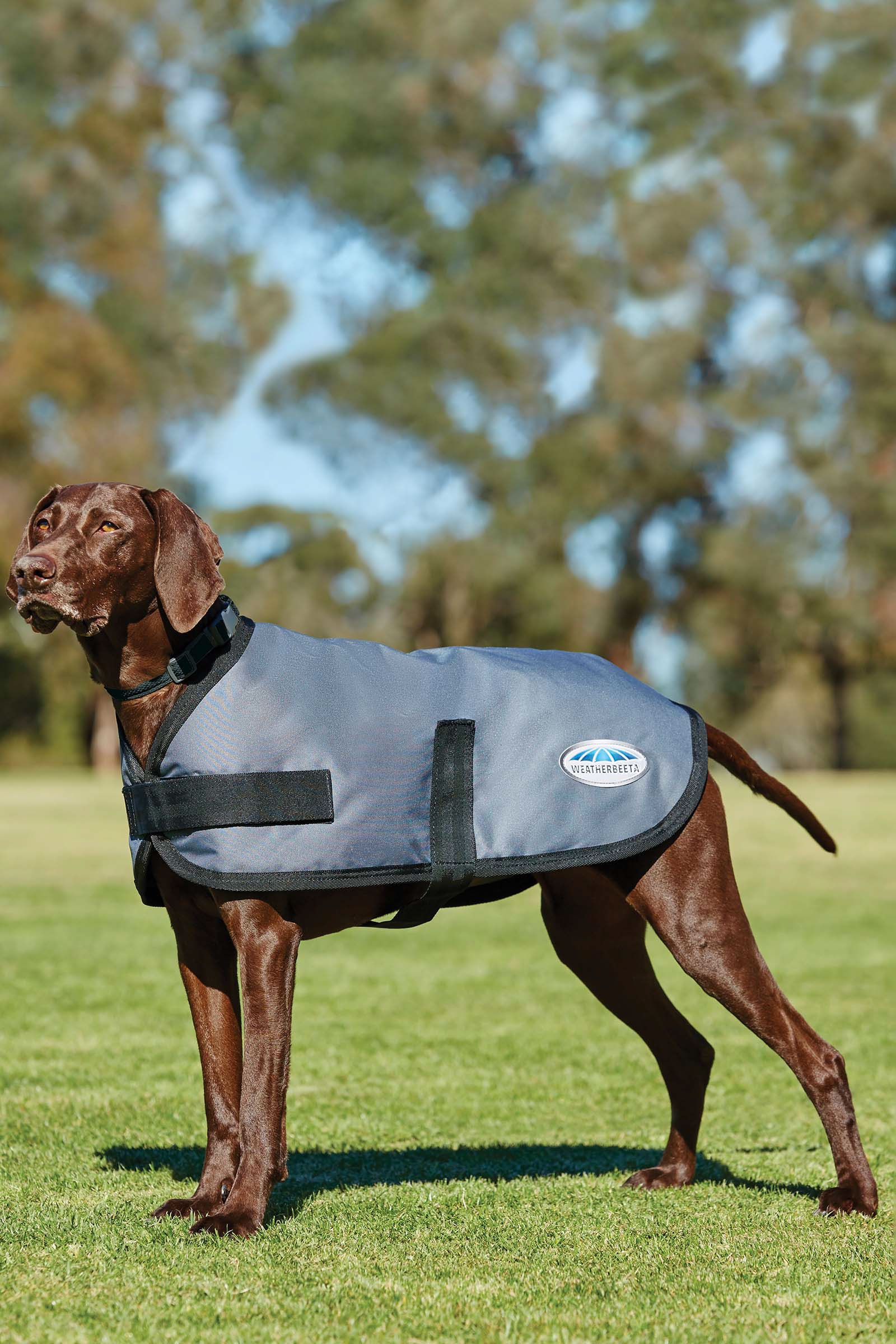 Weatherbeeta Comfitec Classic Dogcoat (25-40cm)