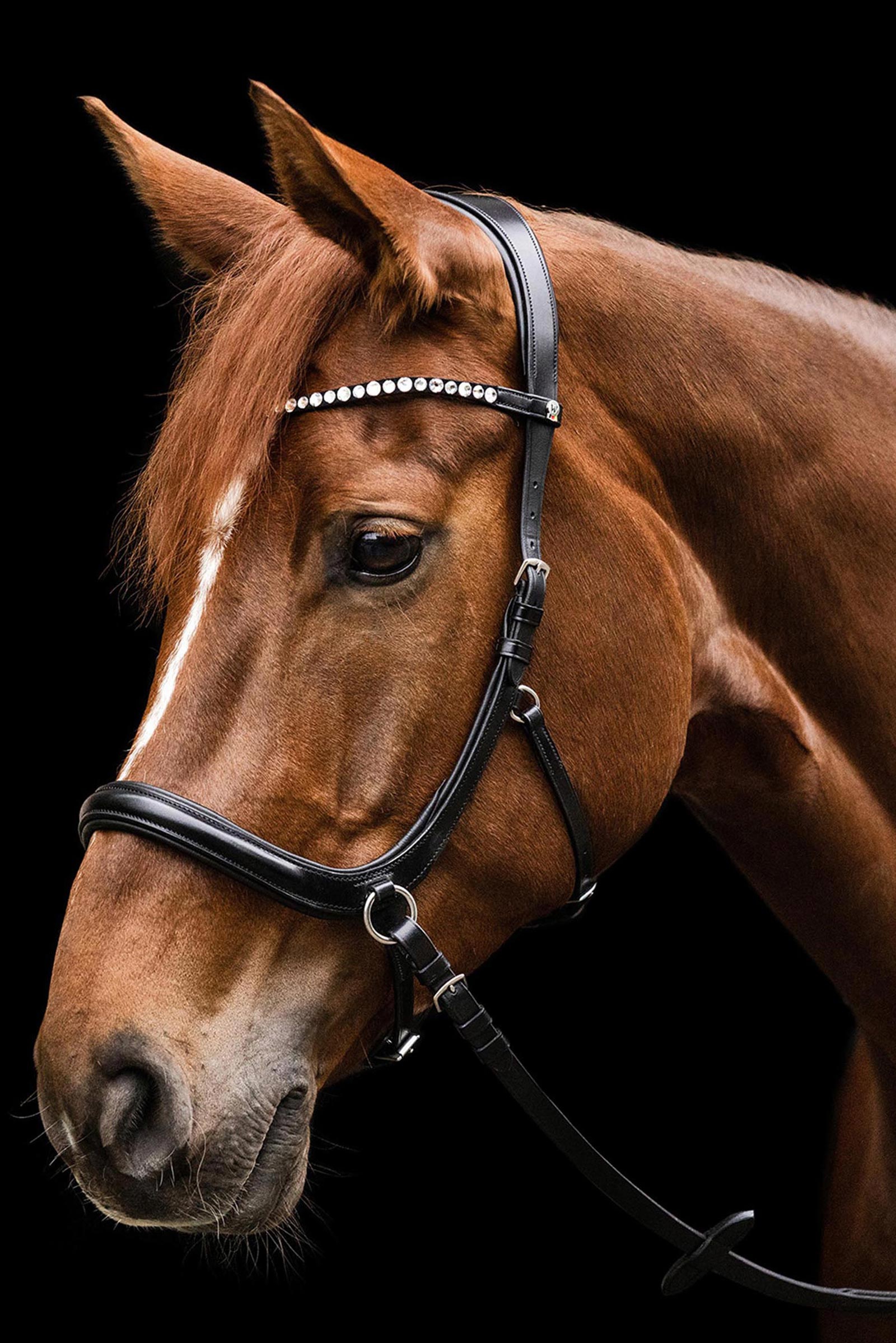 Waldhausen X-Line Sensation Anatomical Bitless Bridle