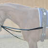 Kavalkade Running reins