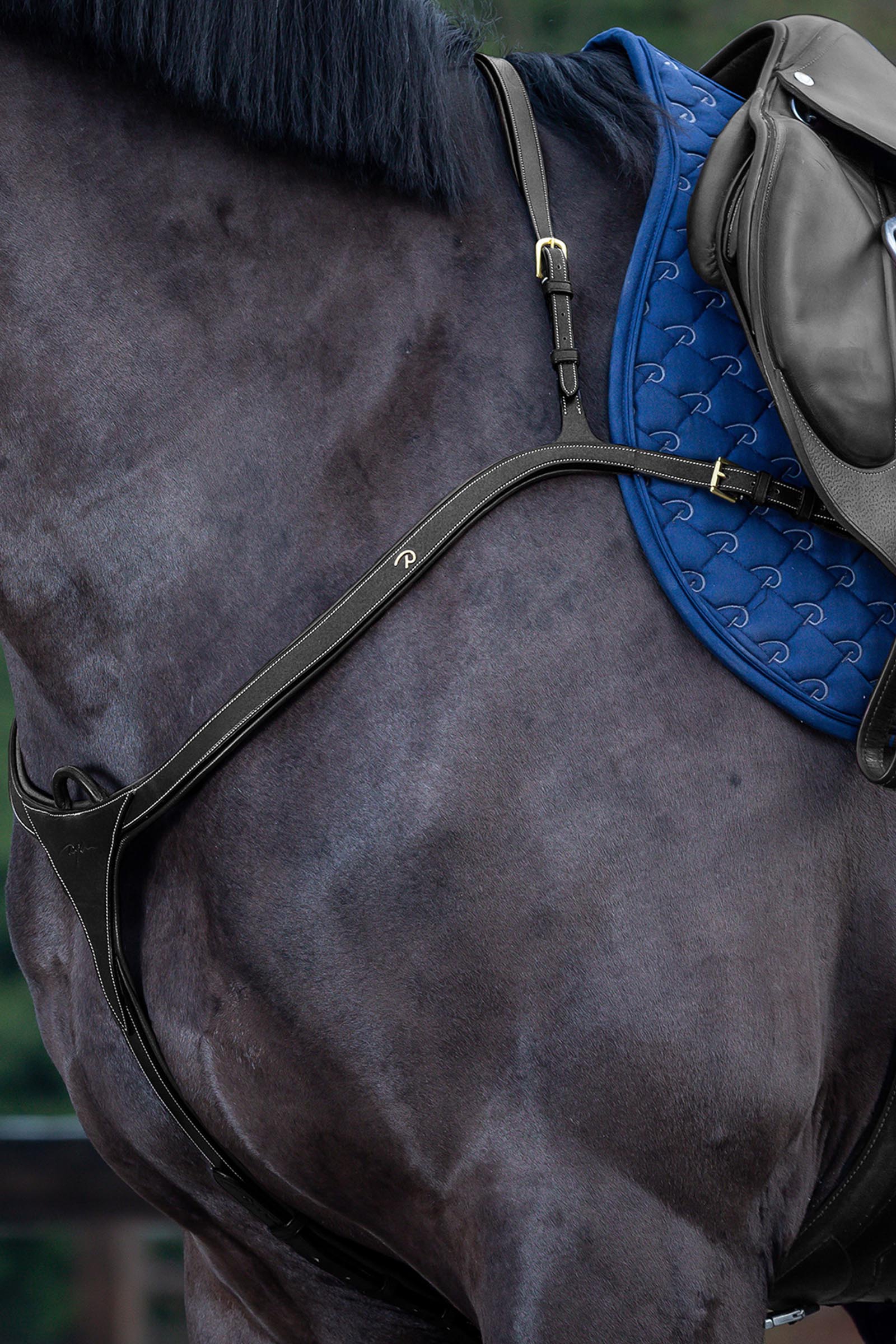 Dy'on D Collection Long Bridge Breastplate 