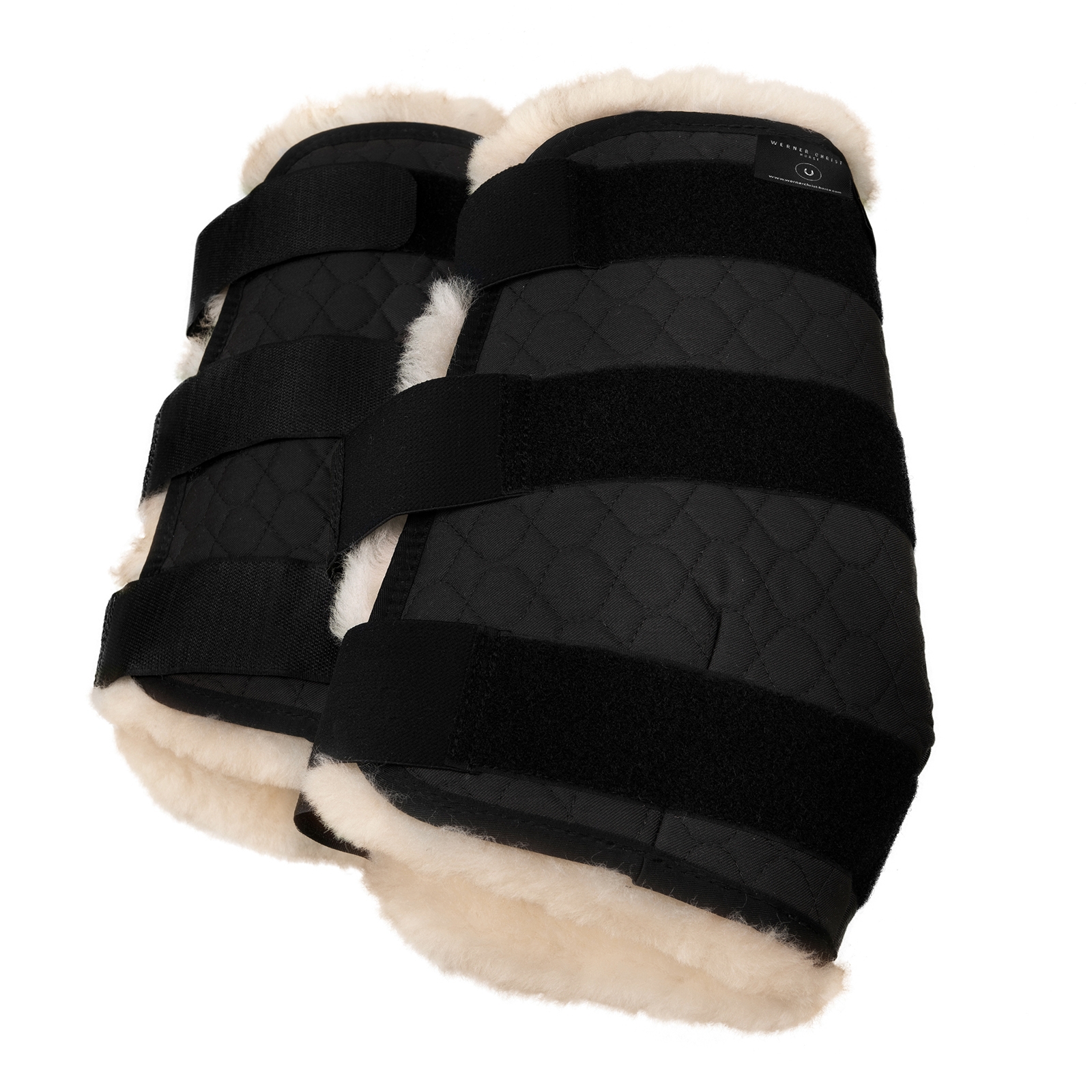 Christ Boots, forelegs