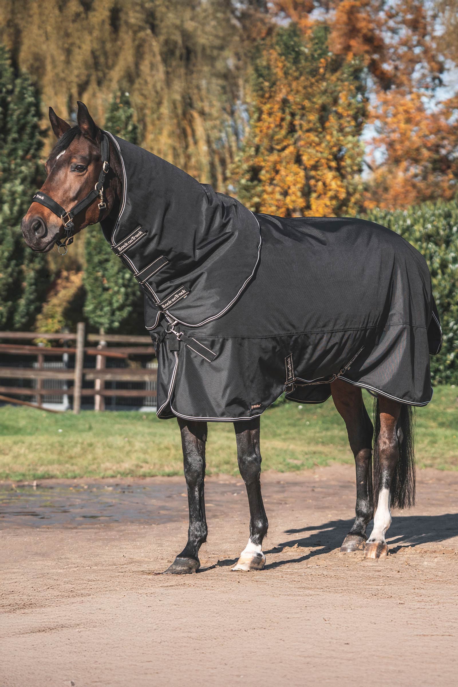 Back on Track Obsidian Turnout Rug With Detachable Neck, 150g