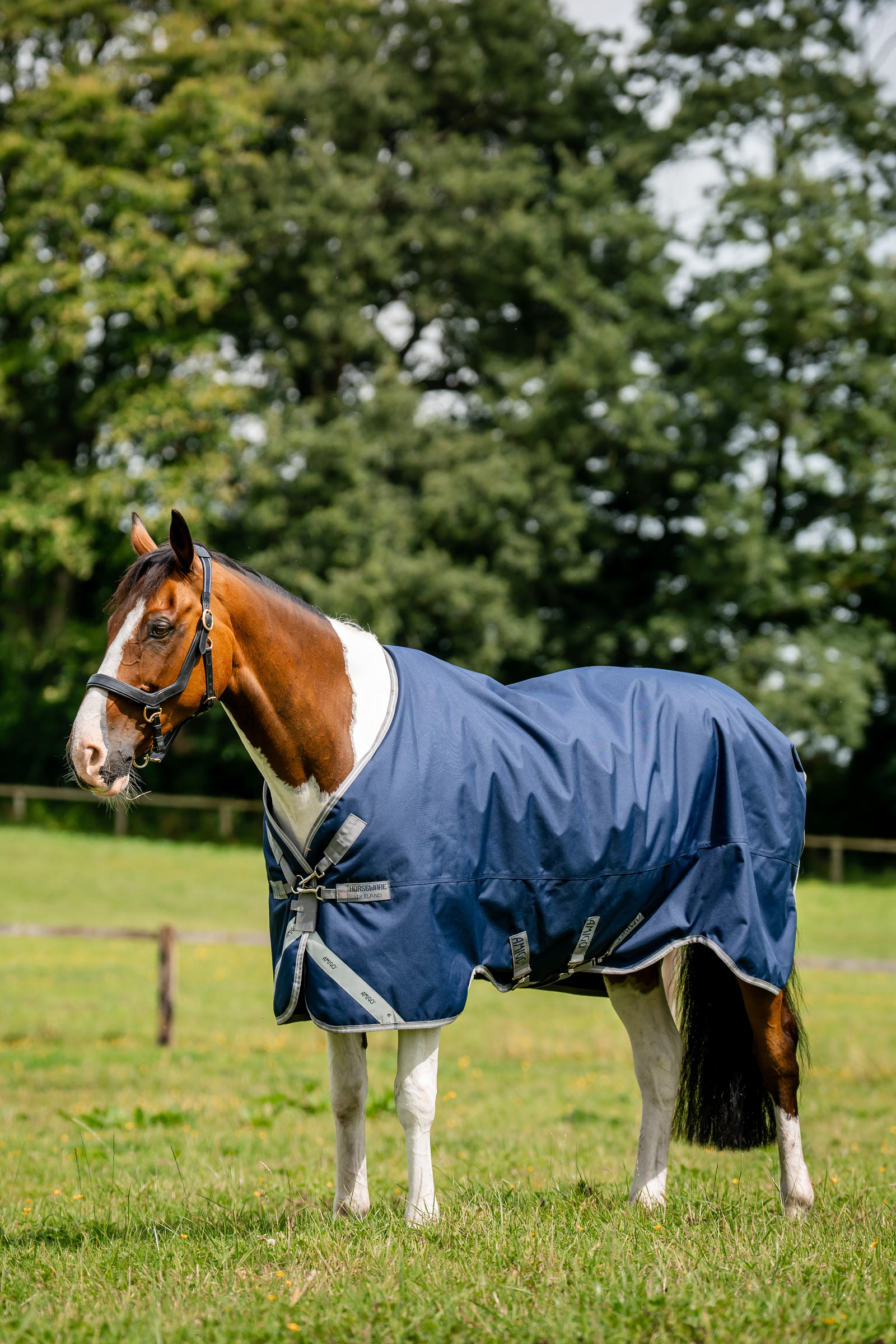Horseware Amigo 1200D Turnout Rug, 250 g