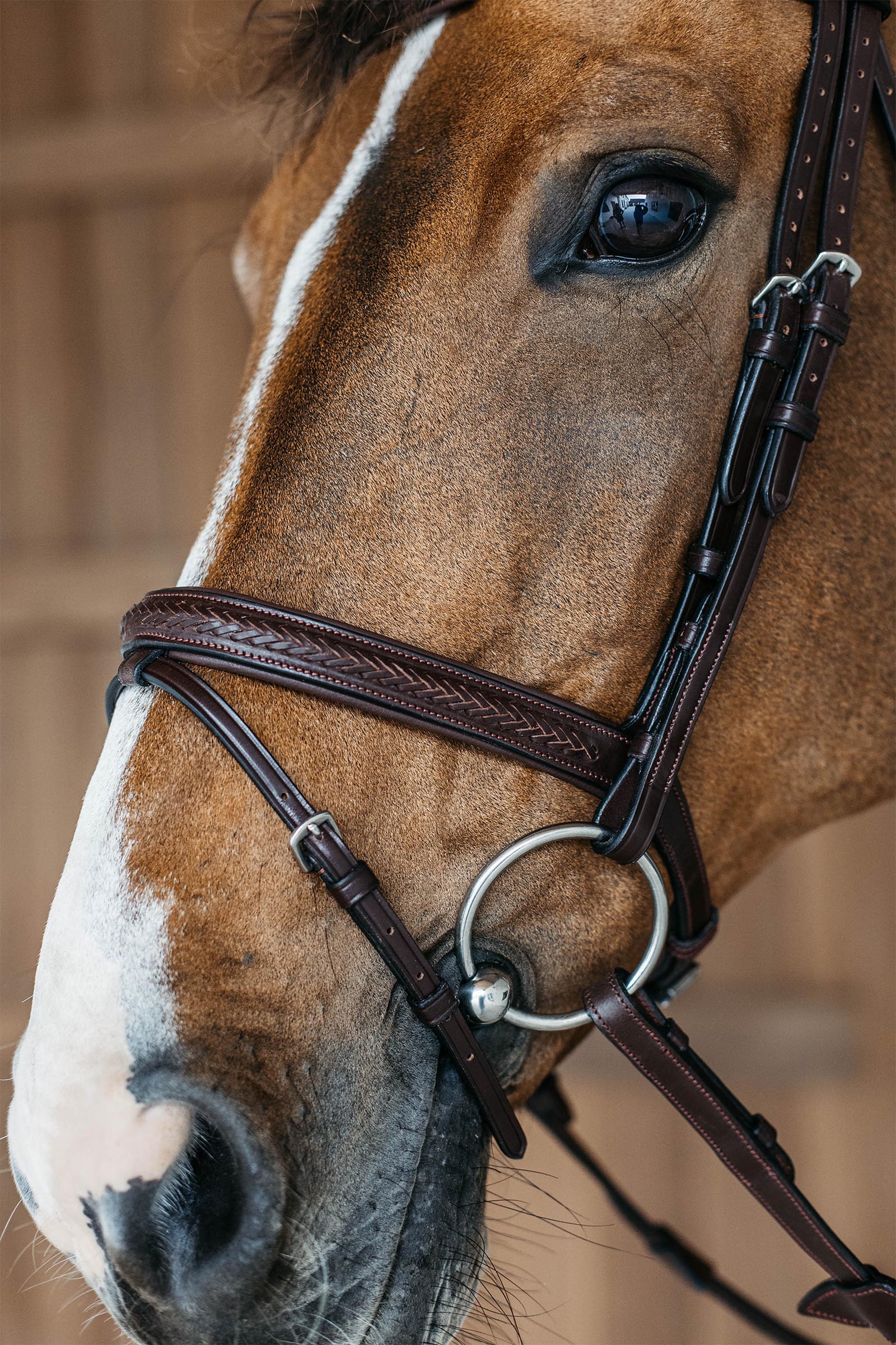 Dy'on New English Plaited Bridle With Flash Noseband 