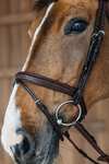 Dy'on New English Plaited Bridle With Flash Noseband 