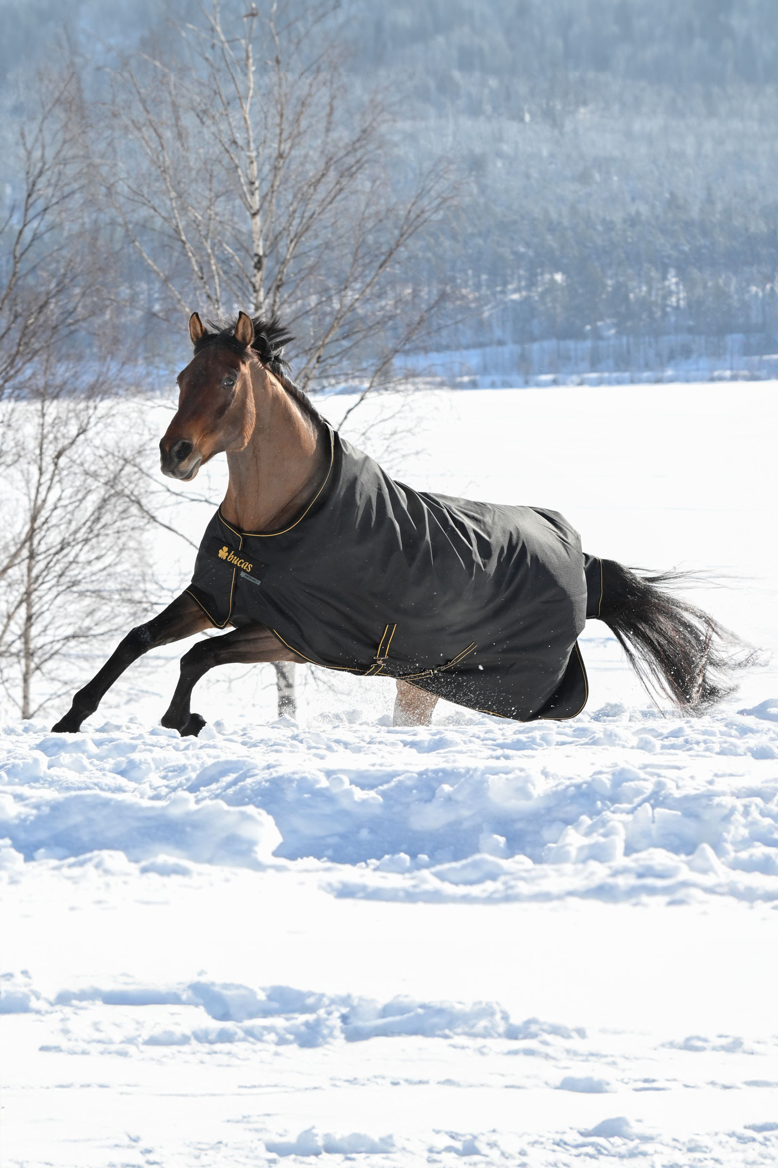 Bucas Irish Turnout Rug, 300g