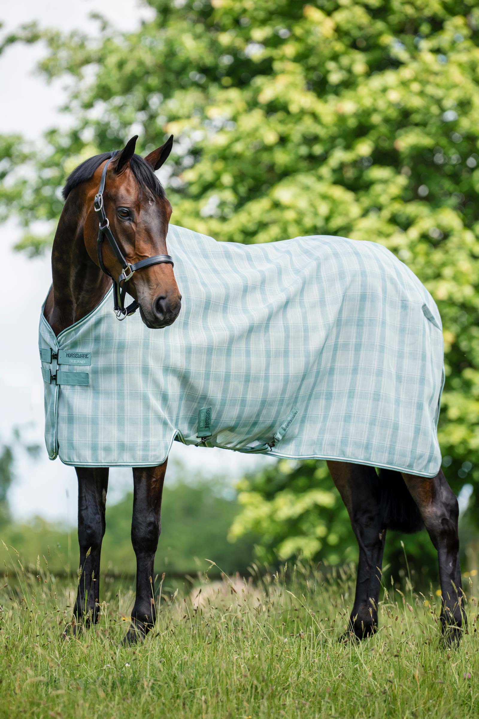 Horseware Newmarket Fly Sheet With UV-Protection
