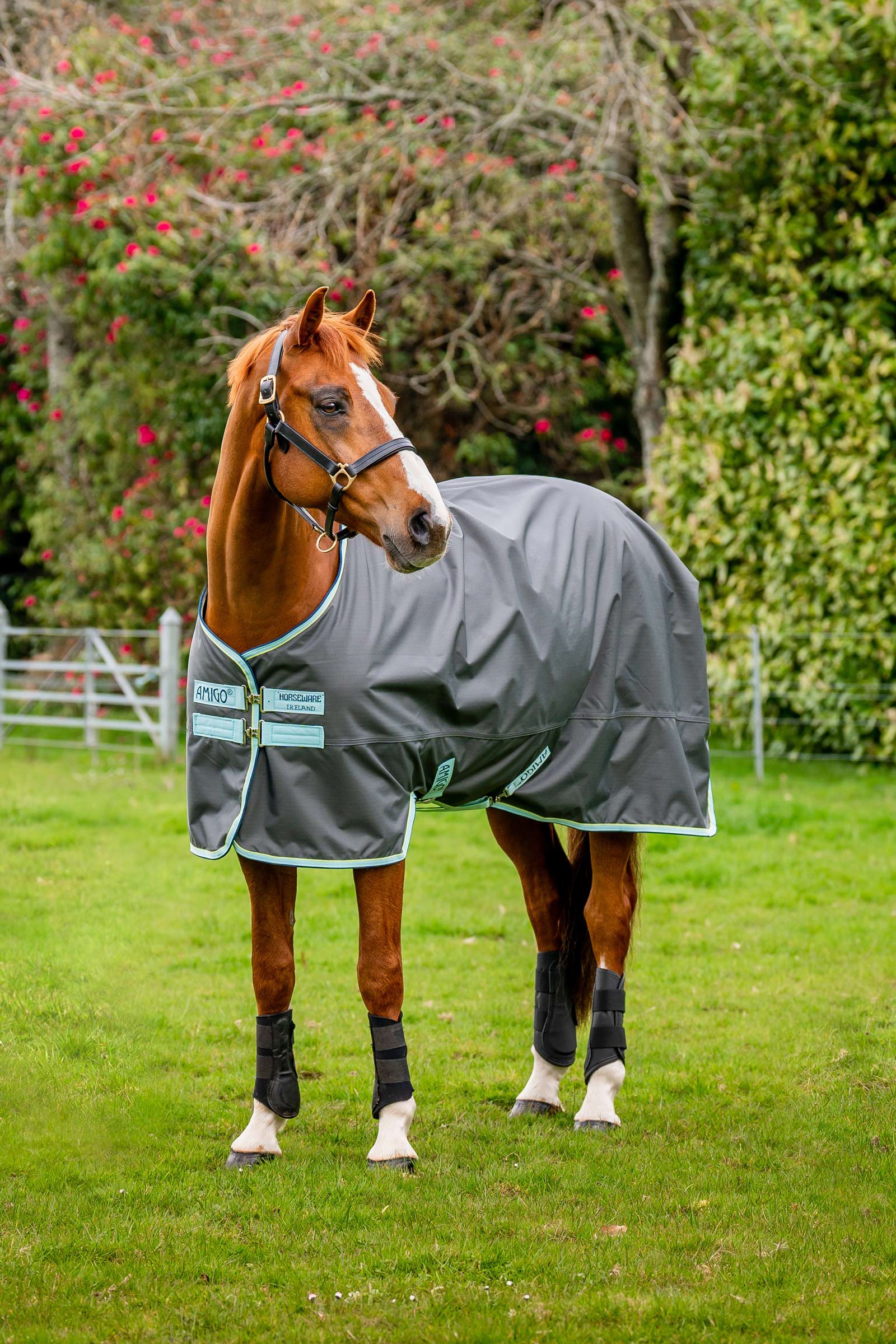 Horseware Amigo Hero Ripstop Turnout Rug With Fleece Lining, 50g