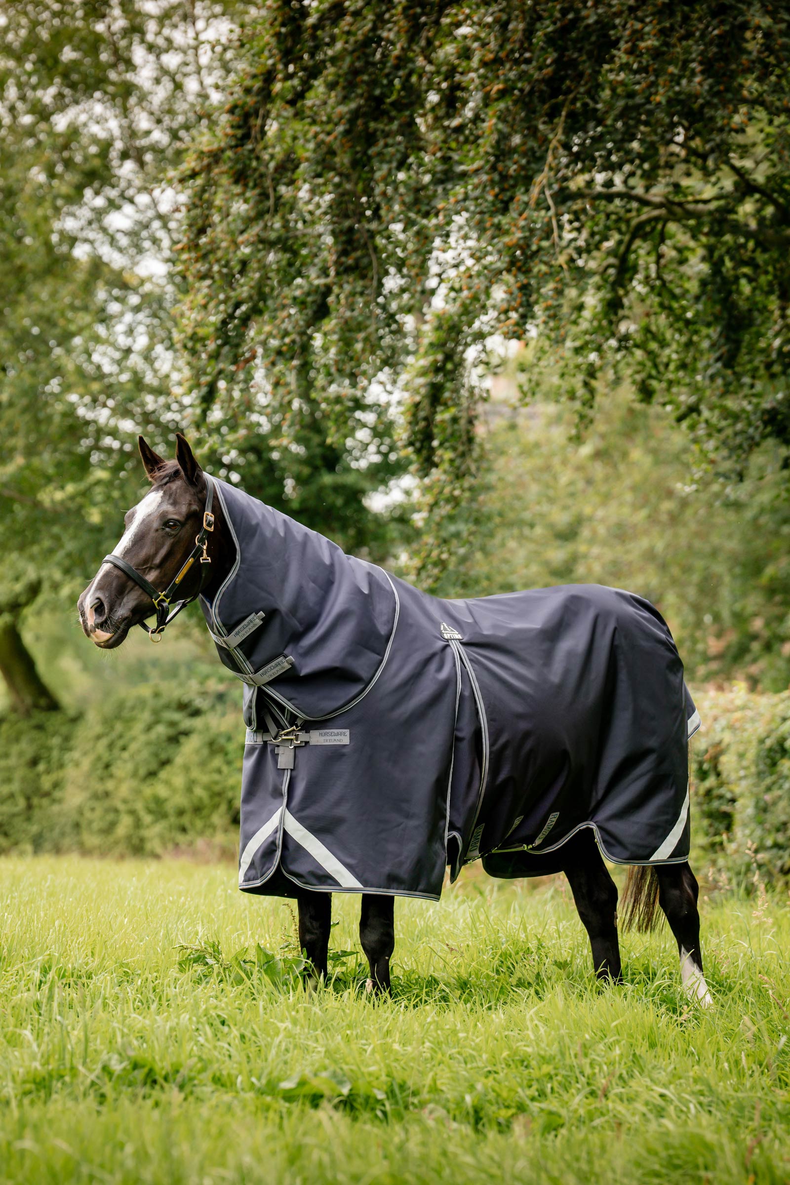 Horseware Rambo Optimo Plus Turnout Bundle (0g + 200g)