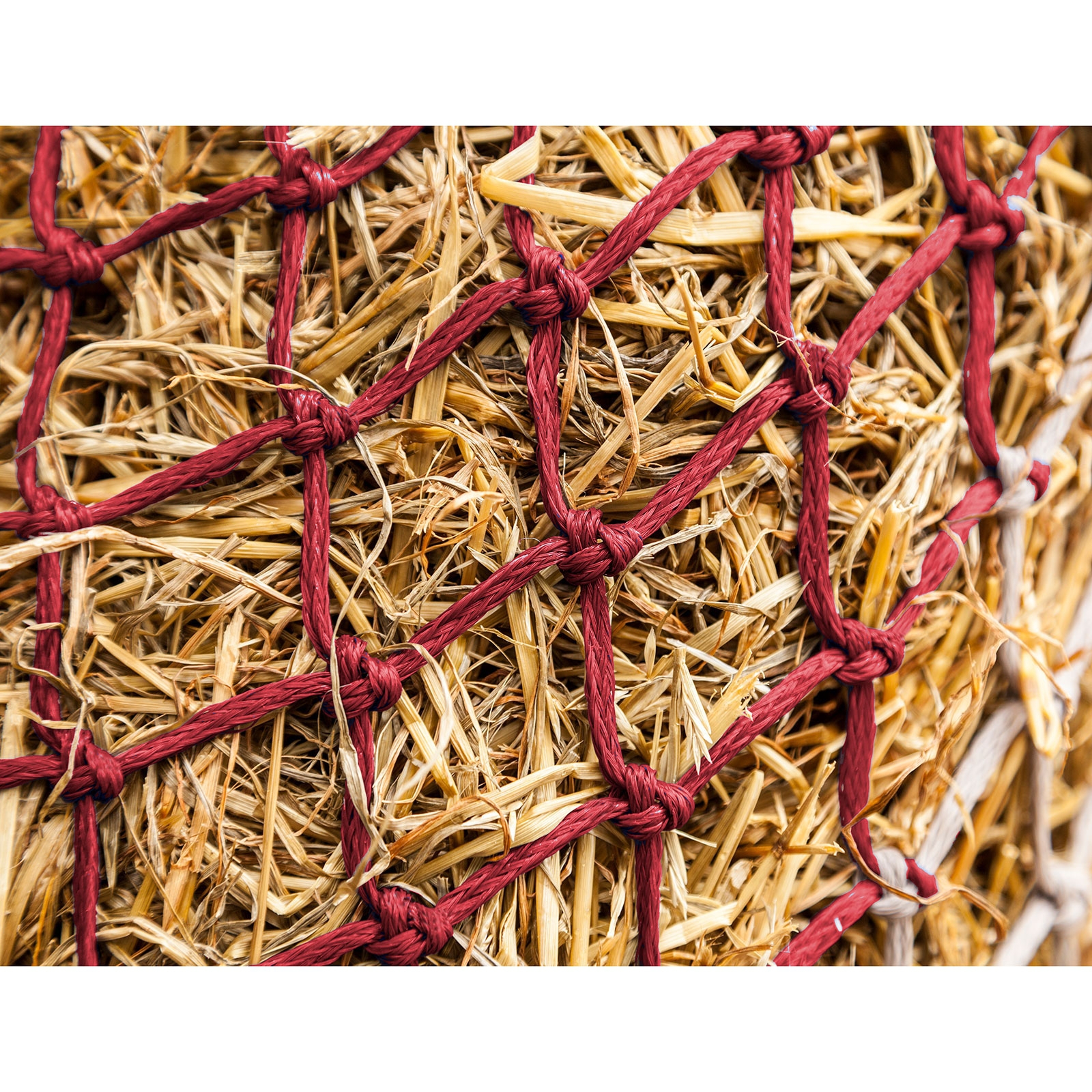 Dark Red/Off-white LeMieux Hippo Haynet