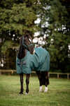 Horseware Amigo Ripstop 900D Turnout Rug, 200 g