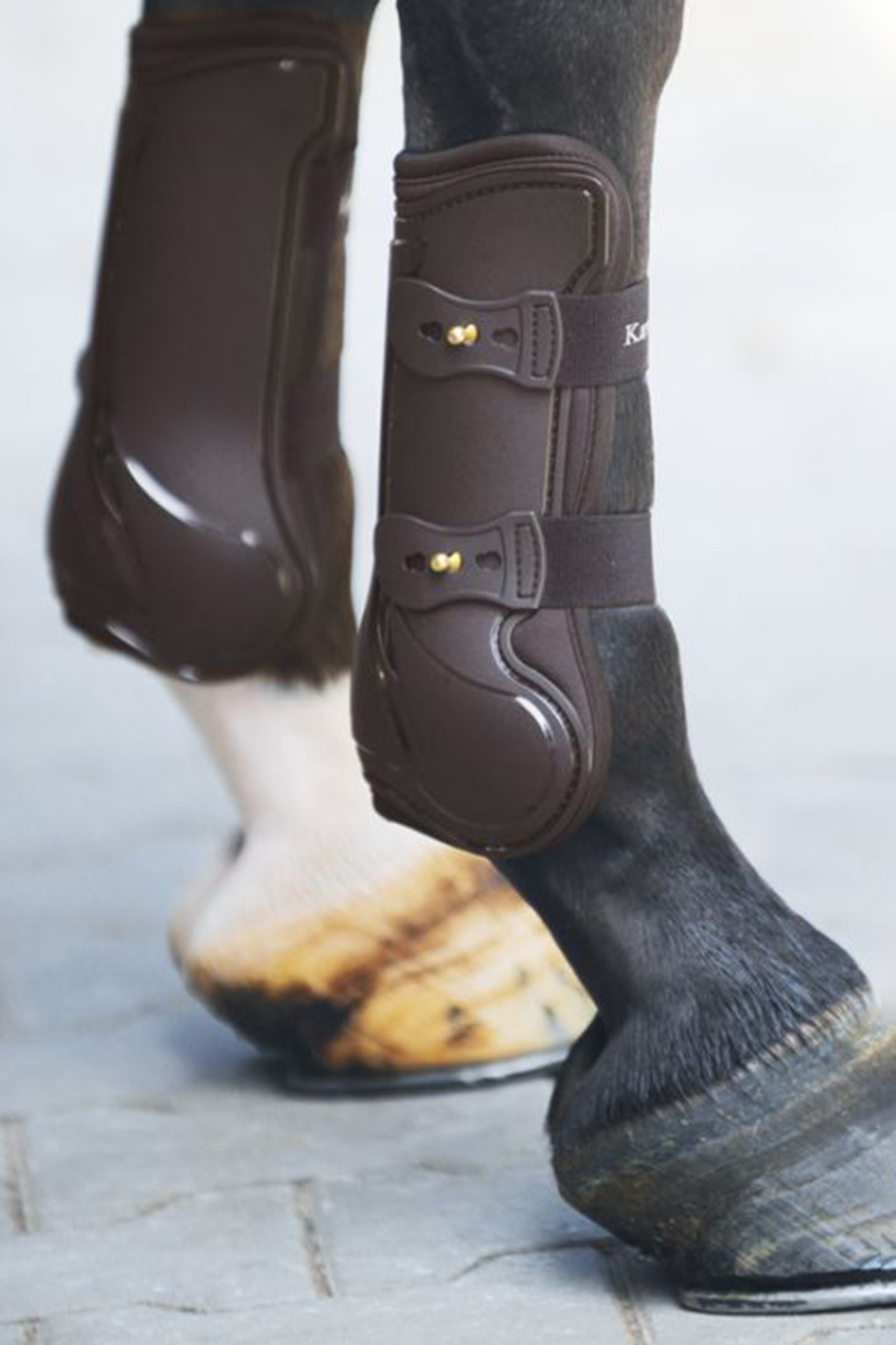 Kavalkade Tendon Boots Compete