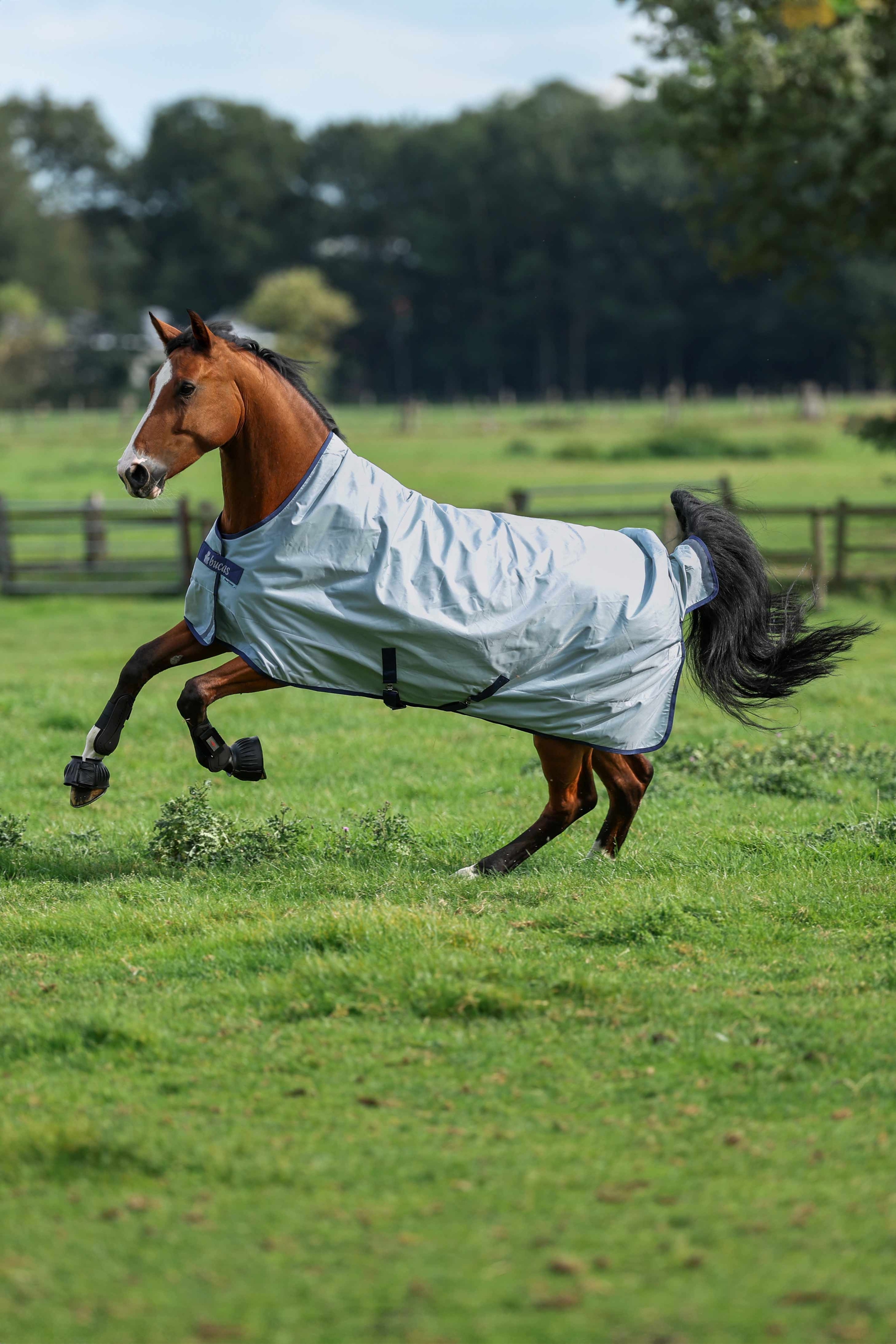 Bucas Power Turnout Light with High Neck, 0 g